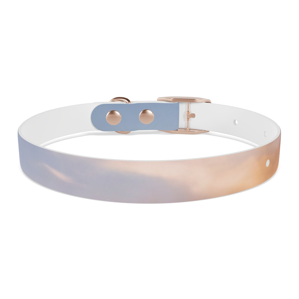Dog Collar - Trail Companion
