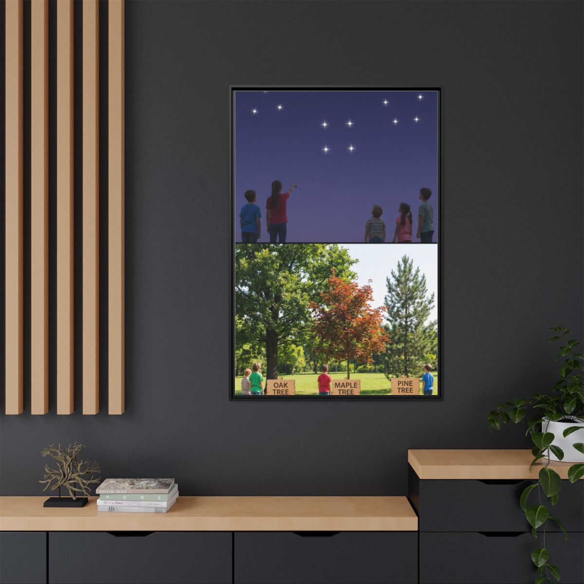 Framed Matte Canvas - Discovery — Black / 1.25"