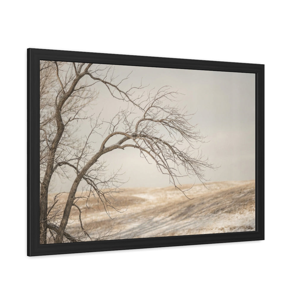 Framed Poster - Minimalist Winter Tree — Landscape