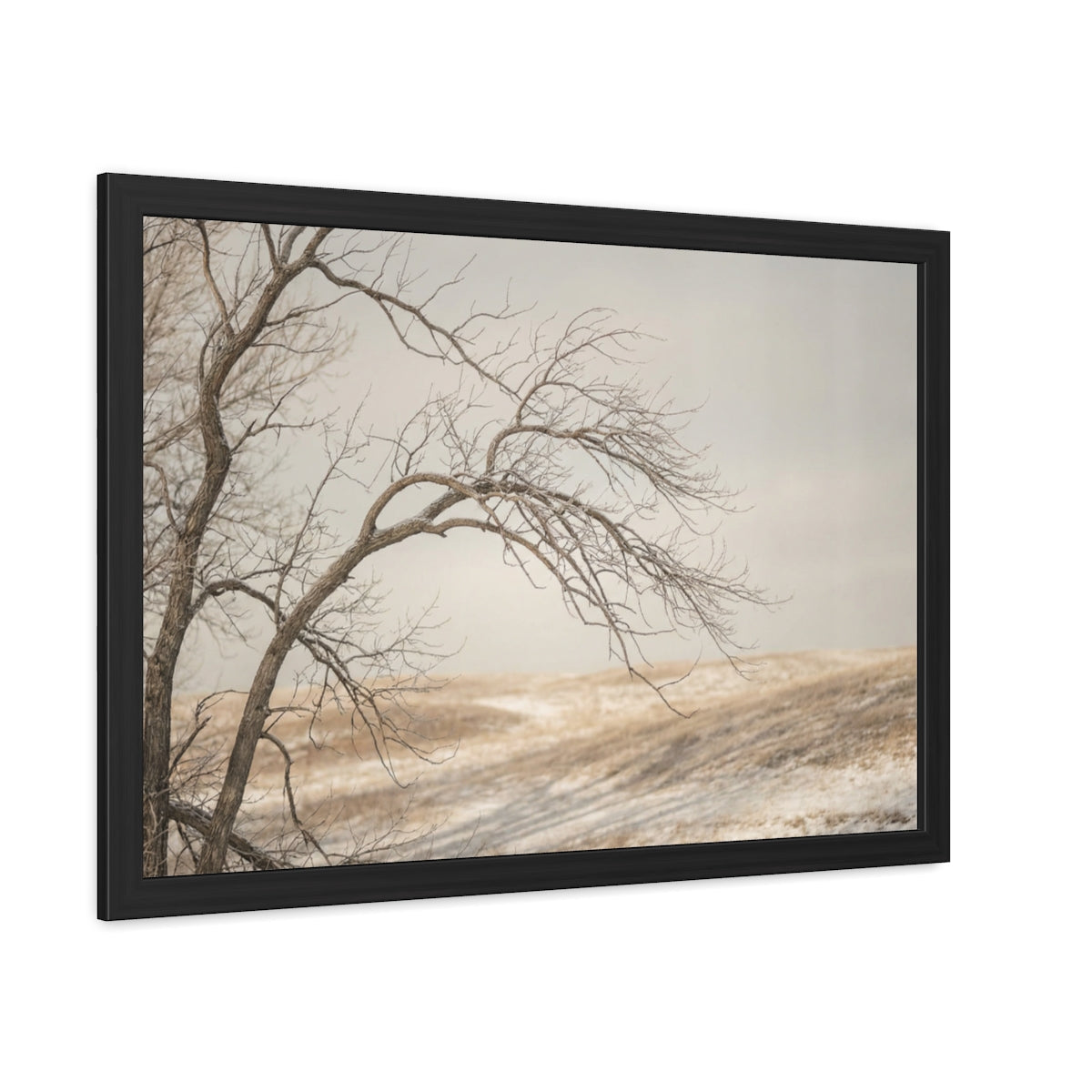 Framed Poster - Minimalist Winter Tree — Landscape