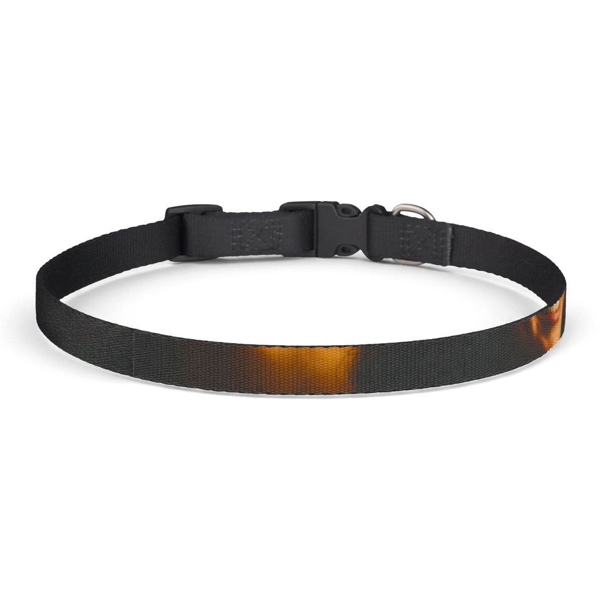 Pet Collar - Midnight Radiance