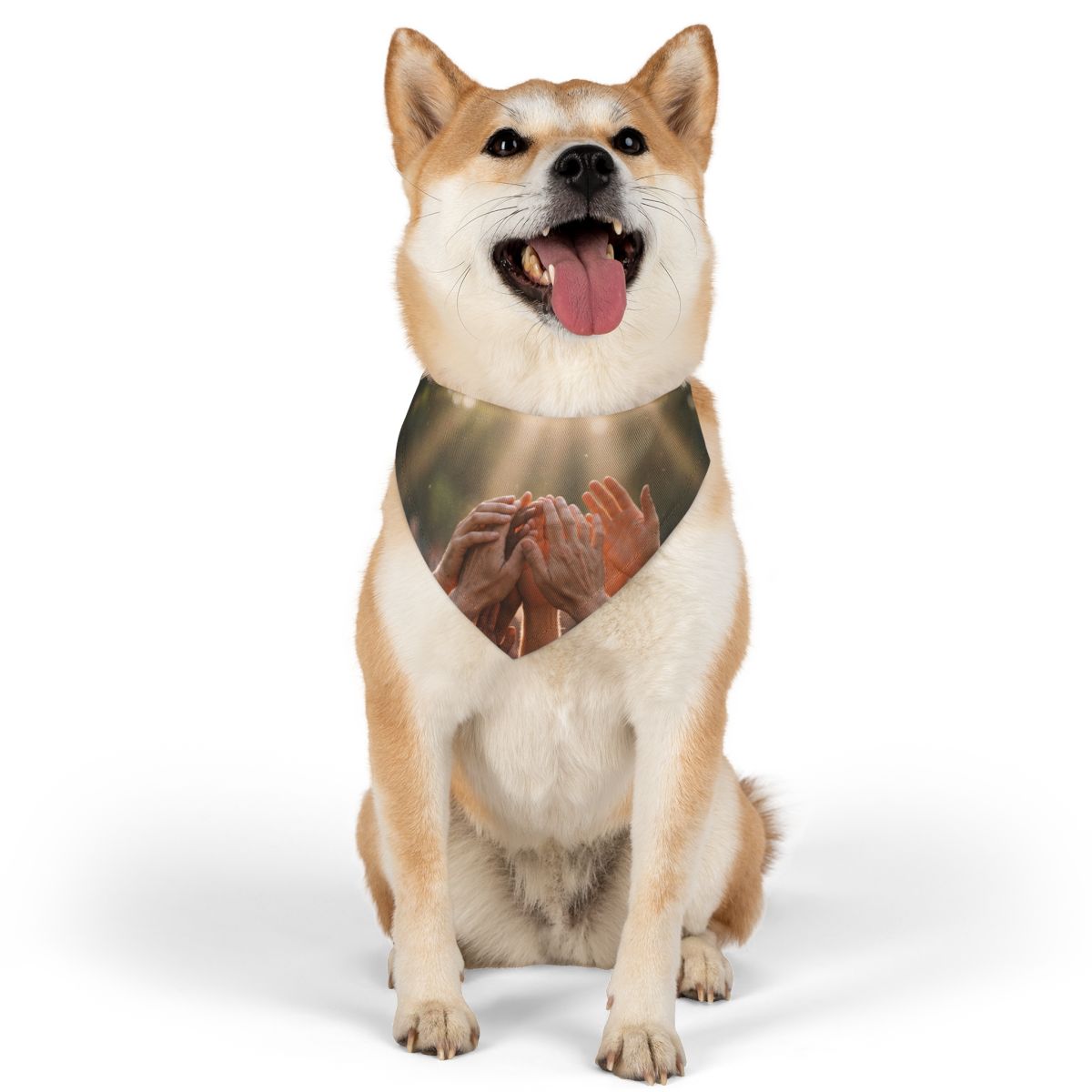 Pet Bandana Collar - Golden Rays of Unity Wall Art |...
