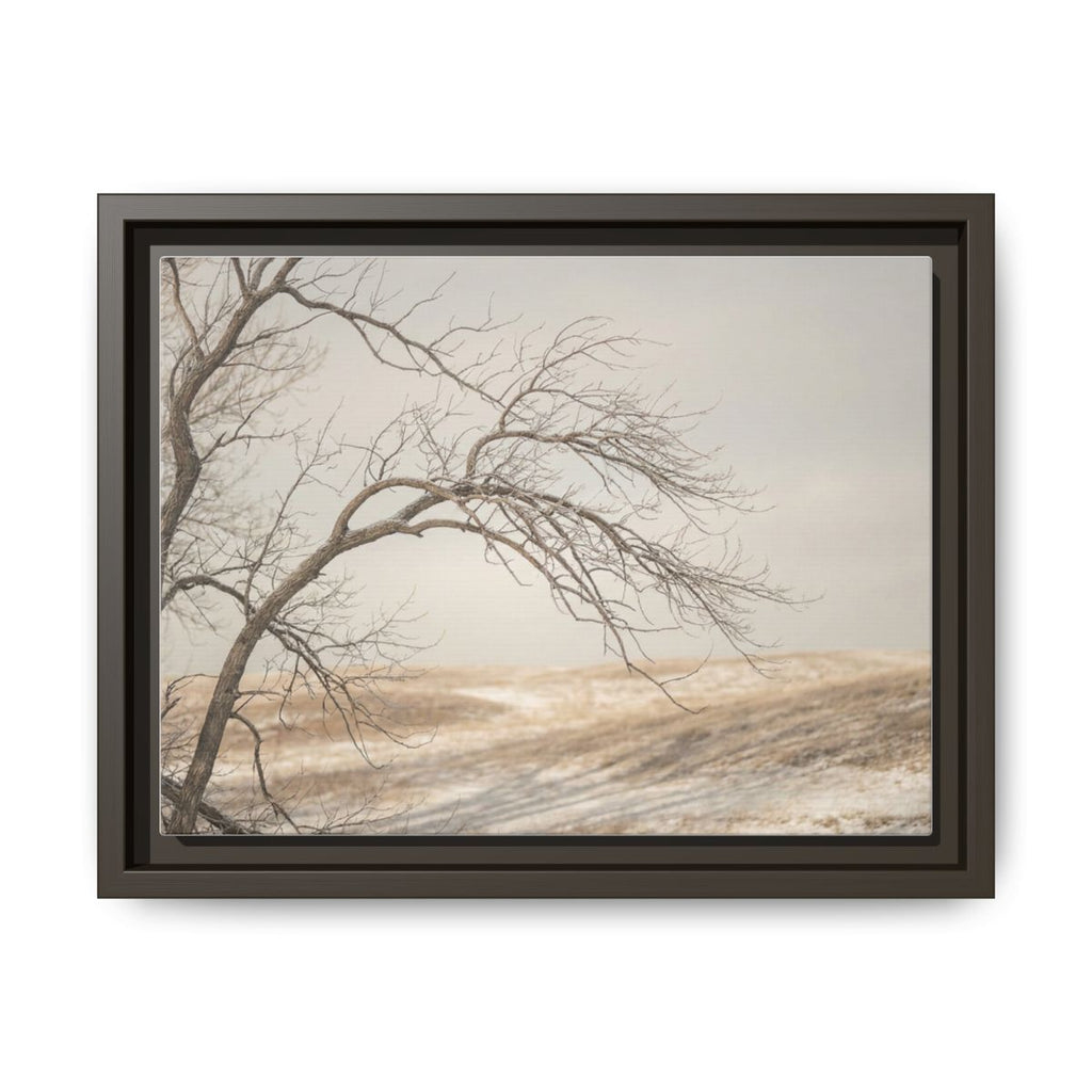 Framed Canvas Art - Minimalist Winter — Espresso / 1.25"