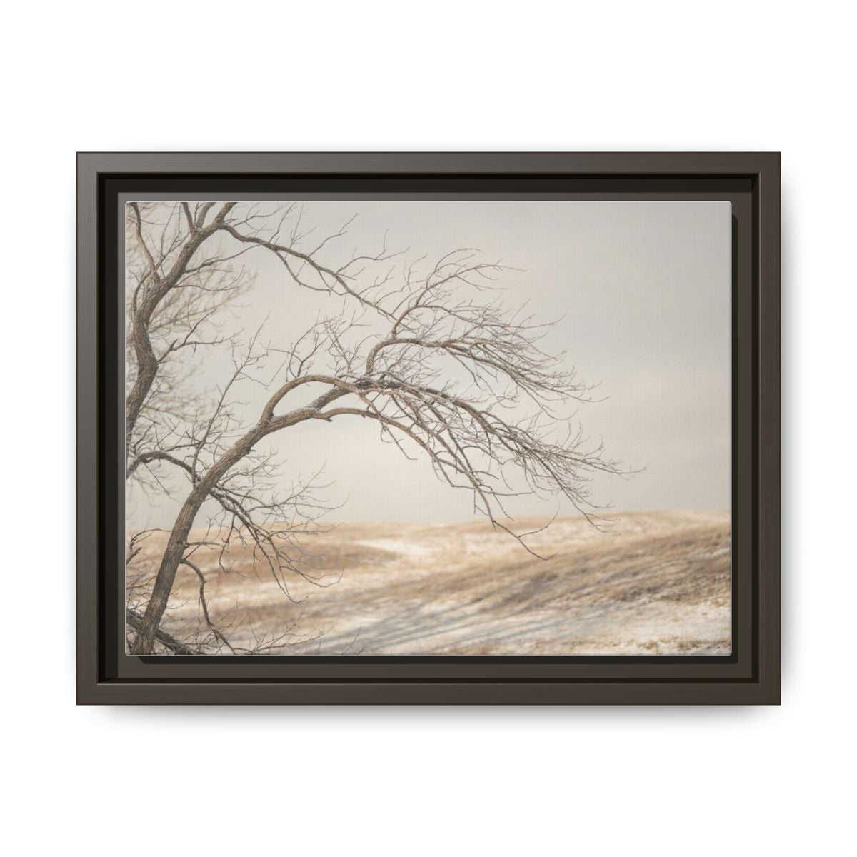 Framed Canvas Art - Minimalist Winter — Espresso / 1.25"