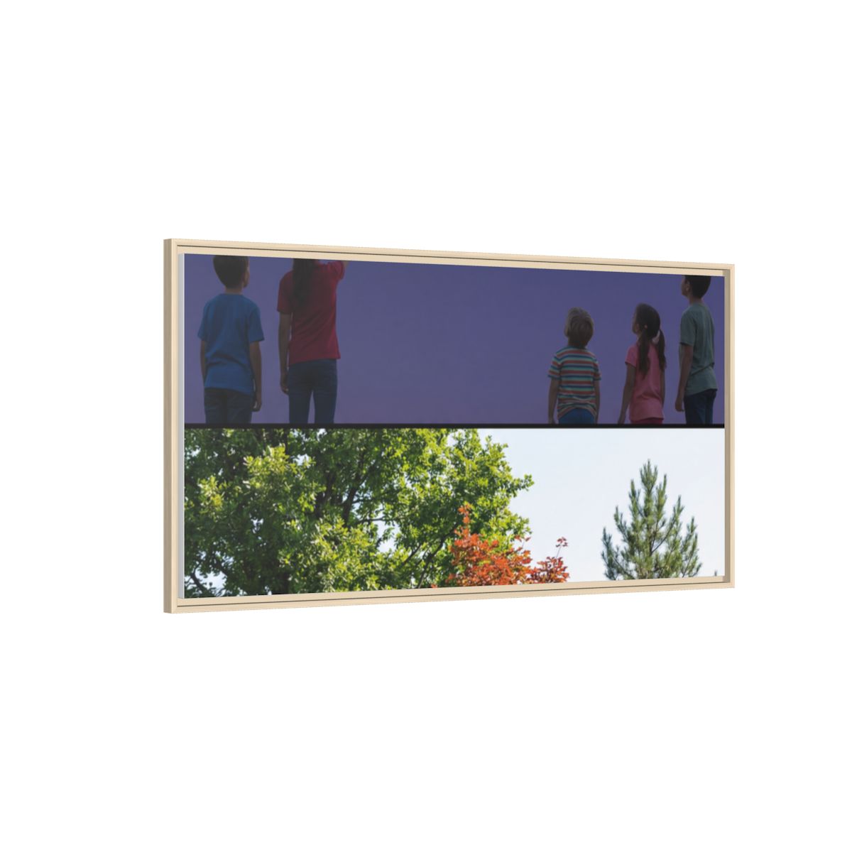 Framed Matte Canvas - Wilderness Gallery — Natural / 1.25"