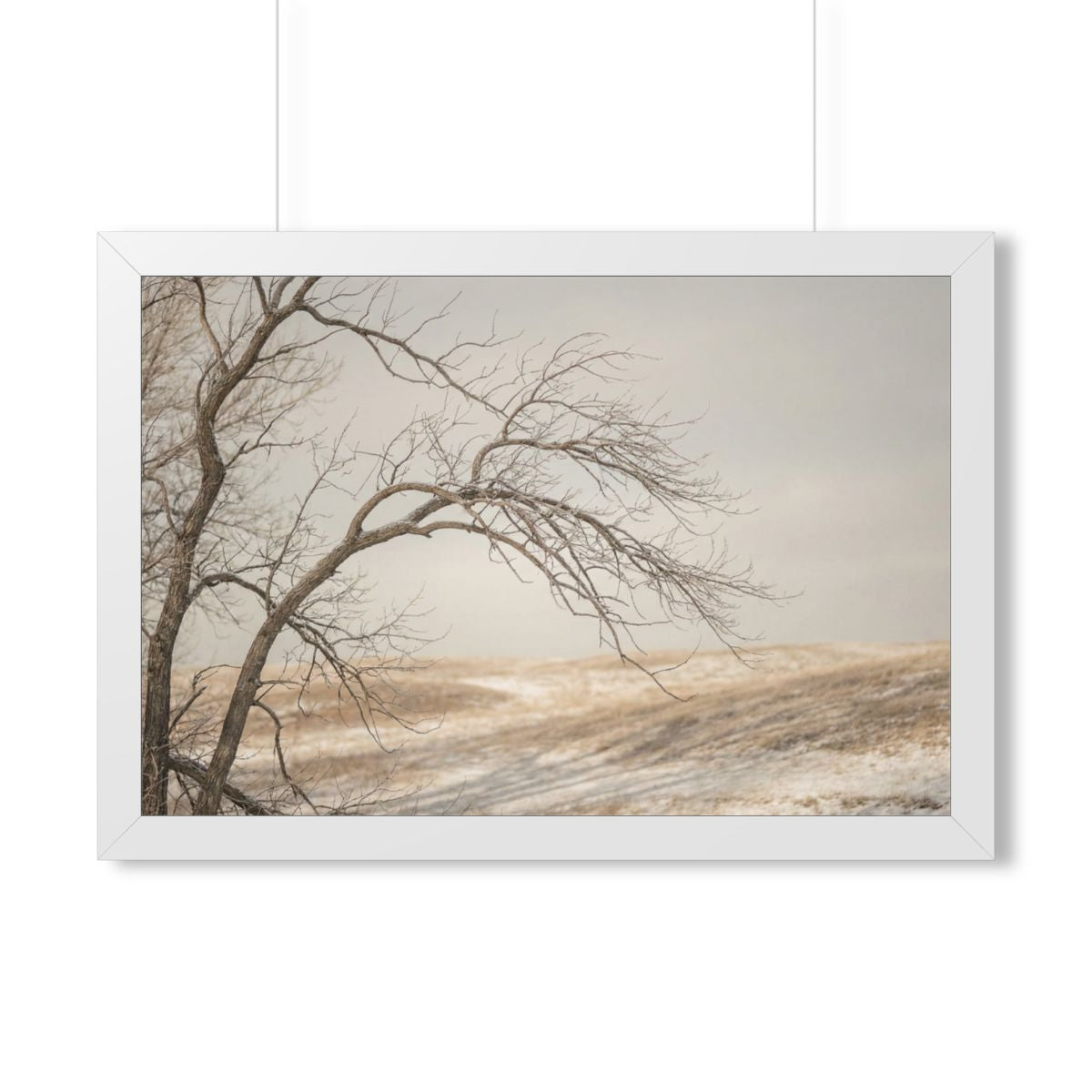 Framed Horizontal Poster - Winter Branch Solitude Landscape...