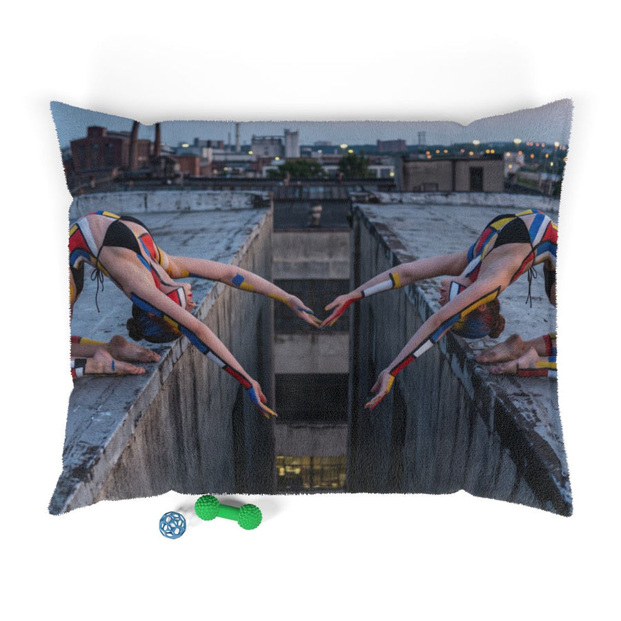 Pet Bed - Modernist Rooftop