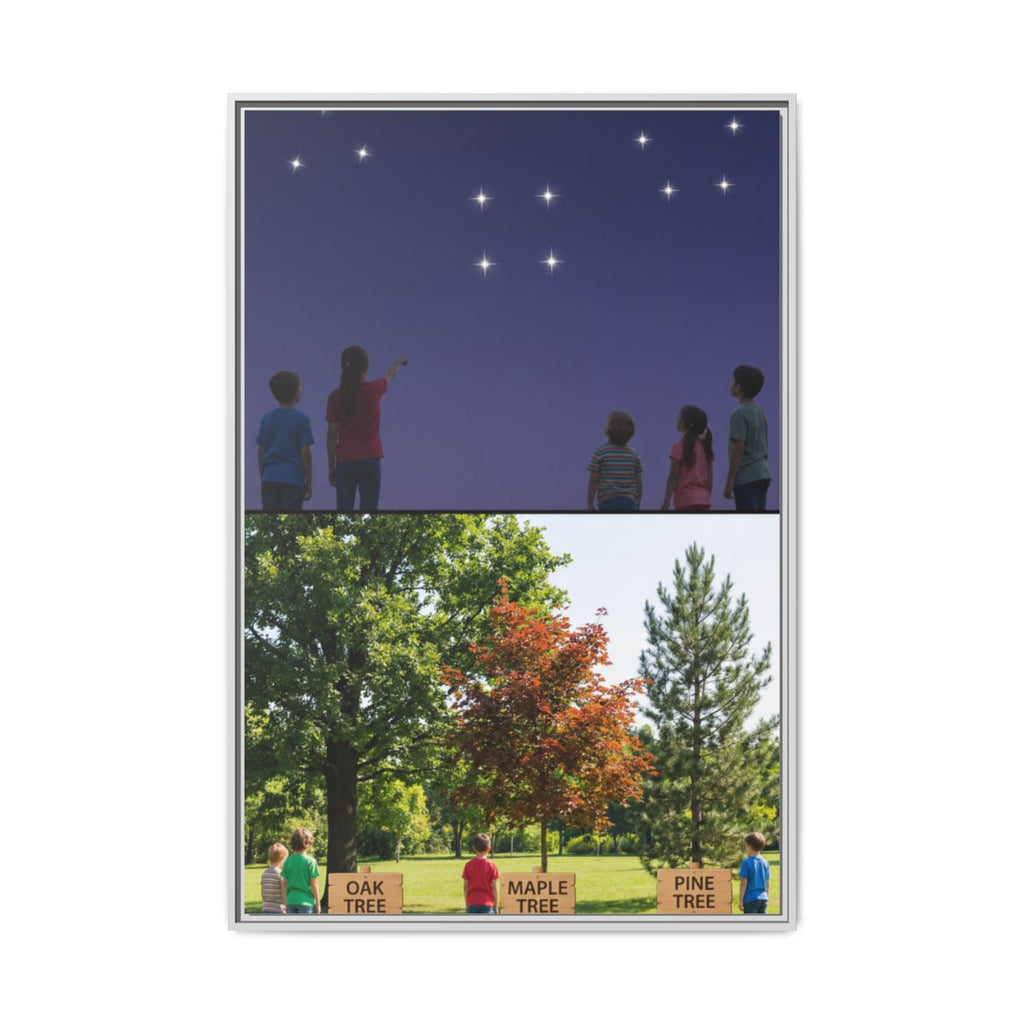 Framed Matte Canvas - Discovery — White / 1.25"