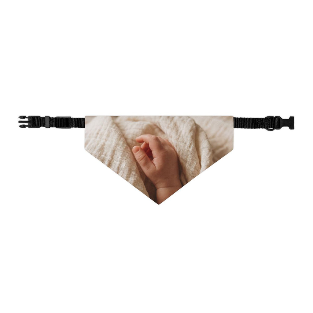 Pet Bandana Collar - Gentle Walks