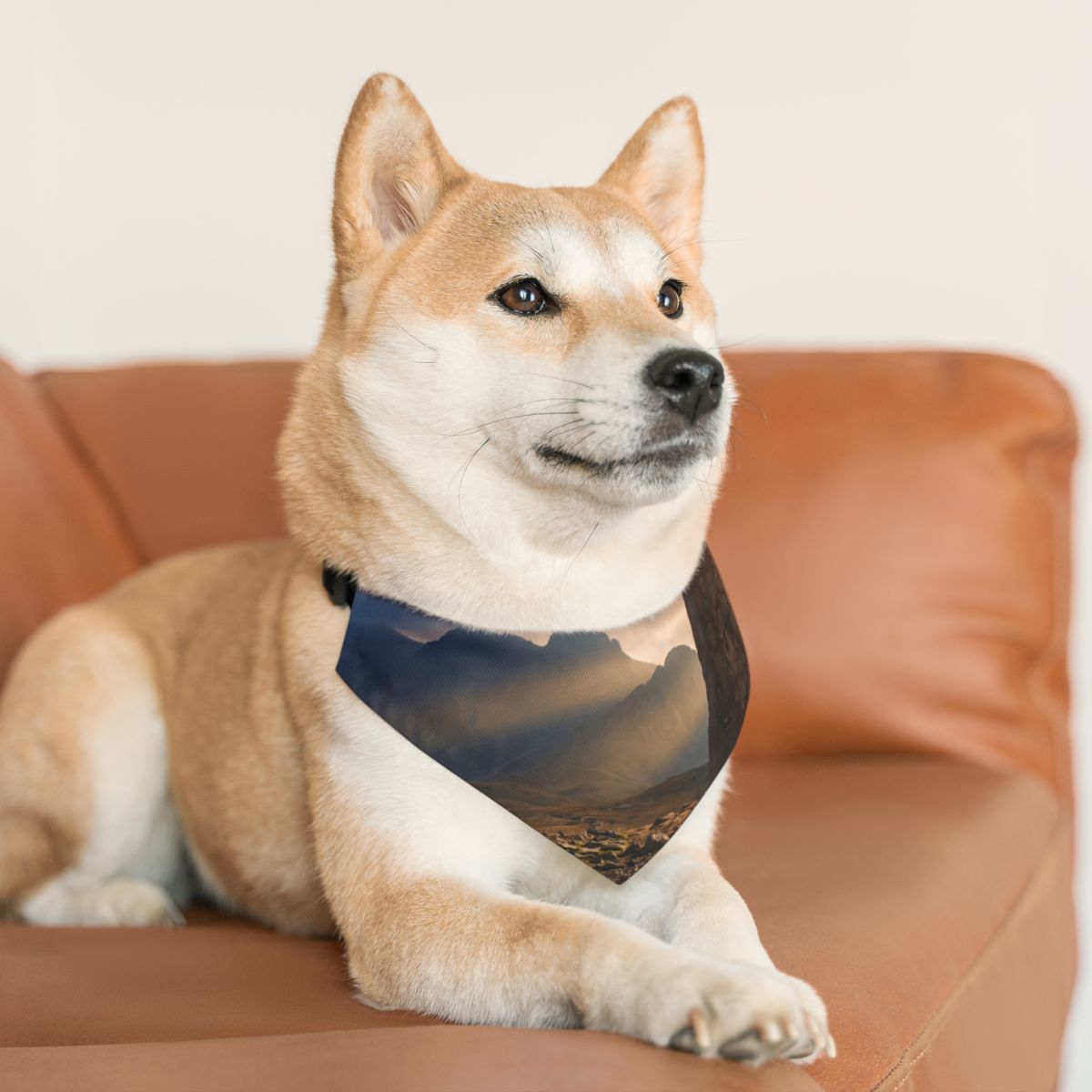 Pet Bandana Collar - Ancient Peak