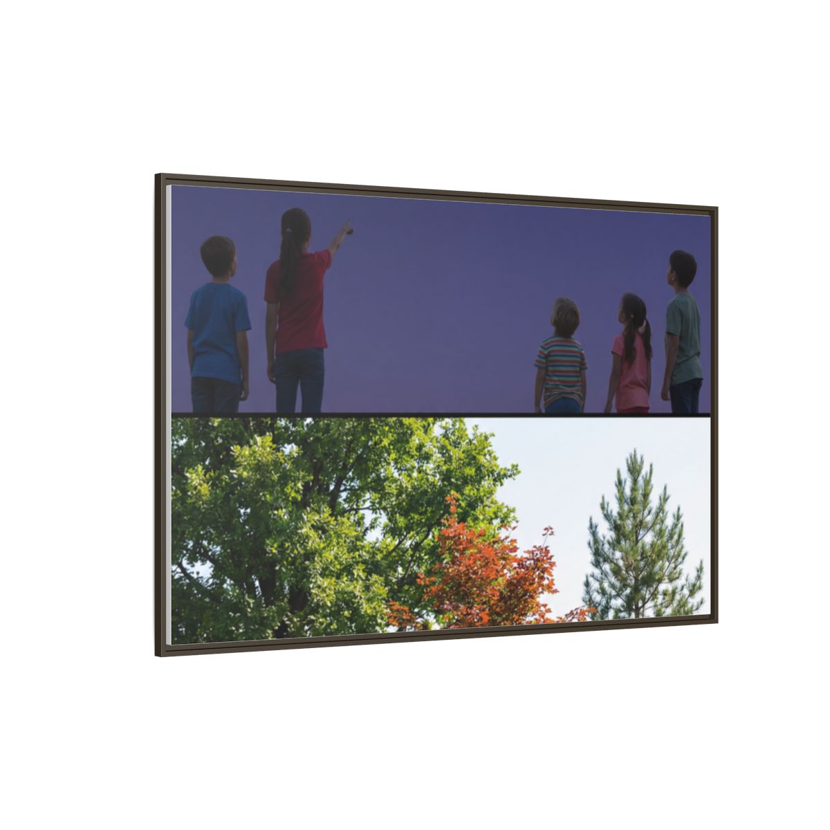 Framed Matte Canvas - Wilderness Gallery