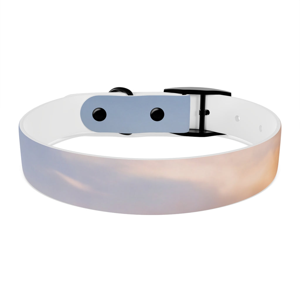 Dog Collar - Trail Companion