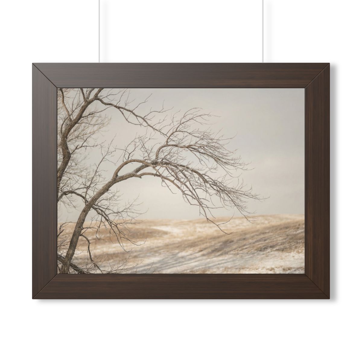 Framed Horizontal Poster - Winter Branch Solitude Landscape...