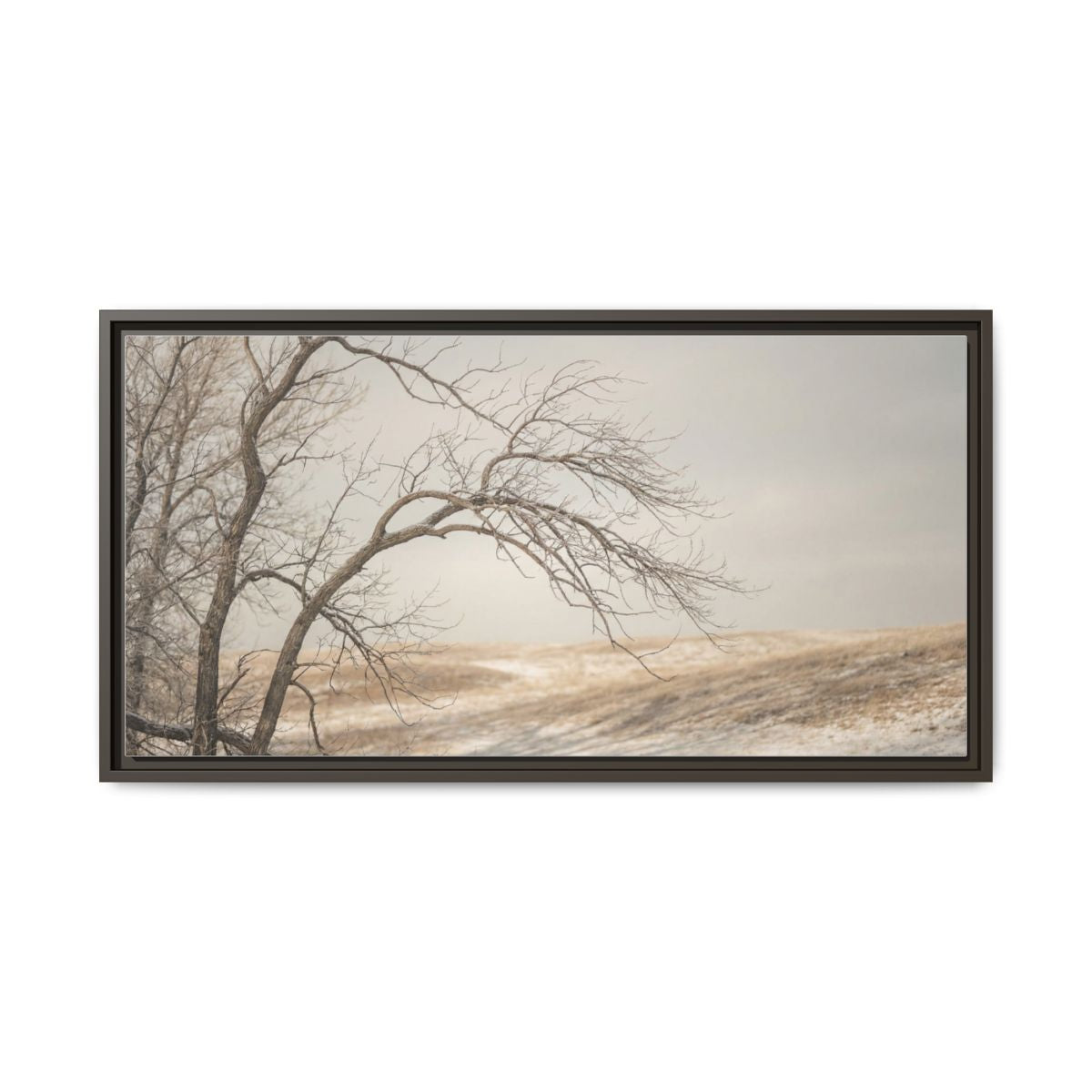 Framed Canvas Art - Minimalist Winter — Espresso / 1.25"