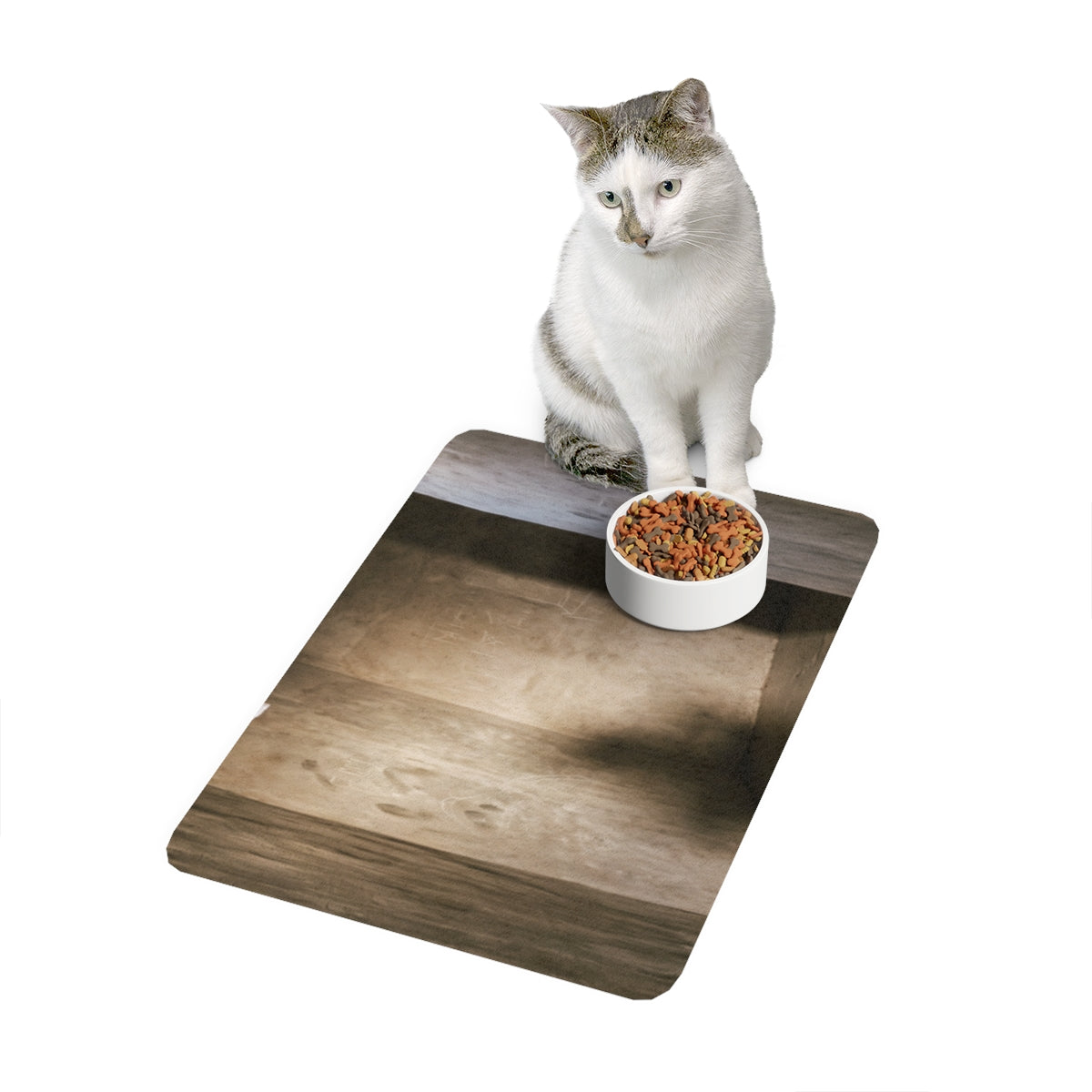 Pet Food Mat - Shadows of the Citadel moody architectural......