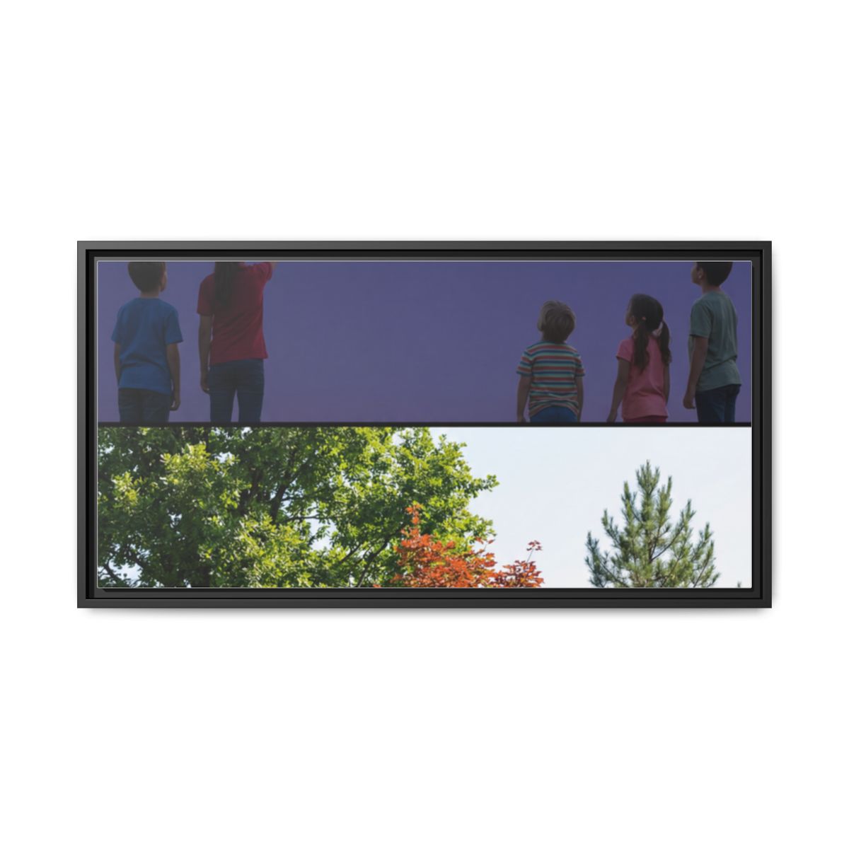 Framed Matte Canvas - Wilderness Gallery — Black / 1.25"