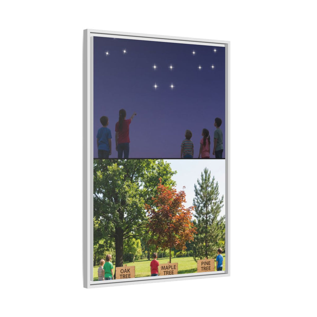 Framed Matte Canvas - Discovery — White / 1.25"