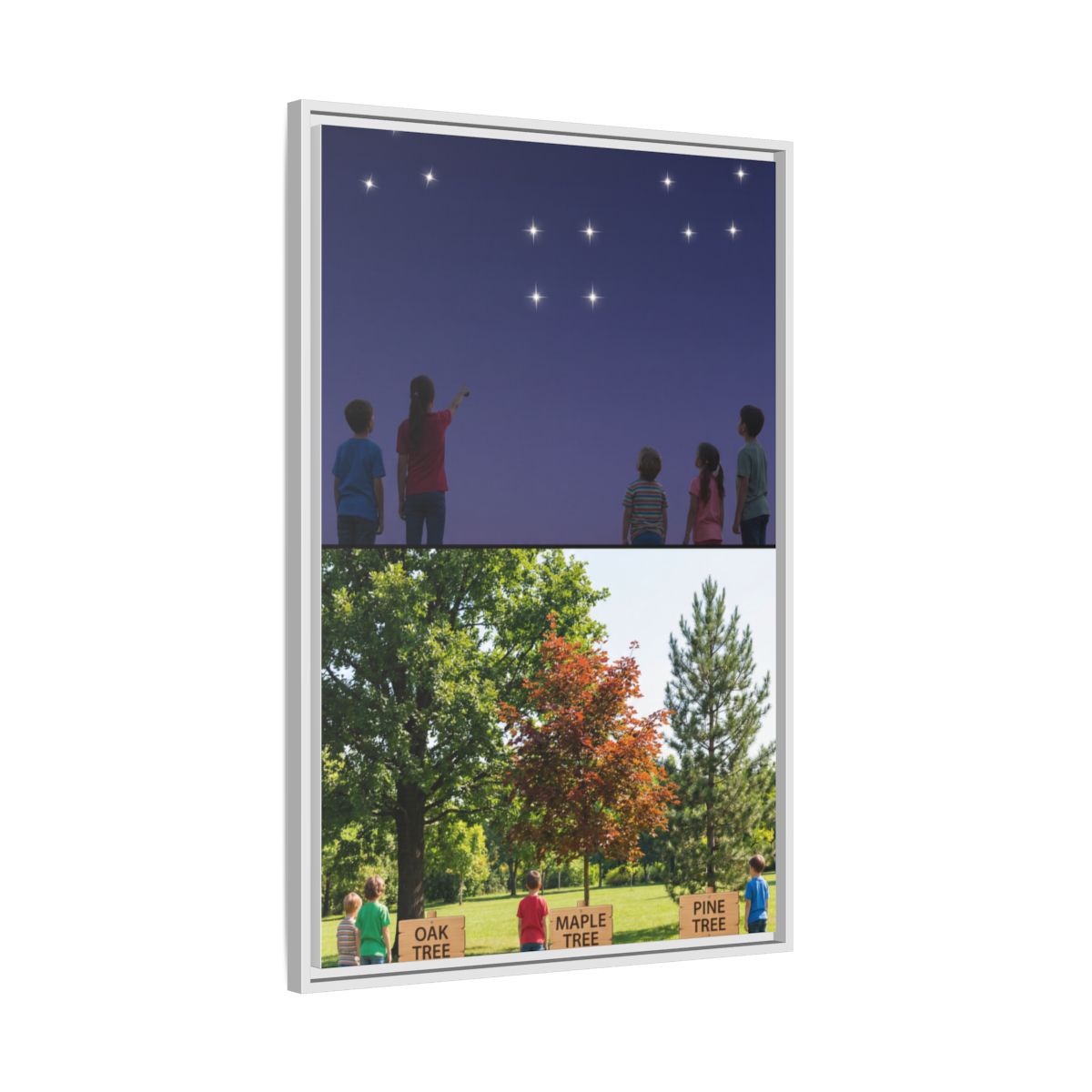 Framed Matte Canvas - Discovery — White / 1.25"