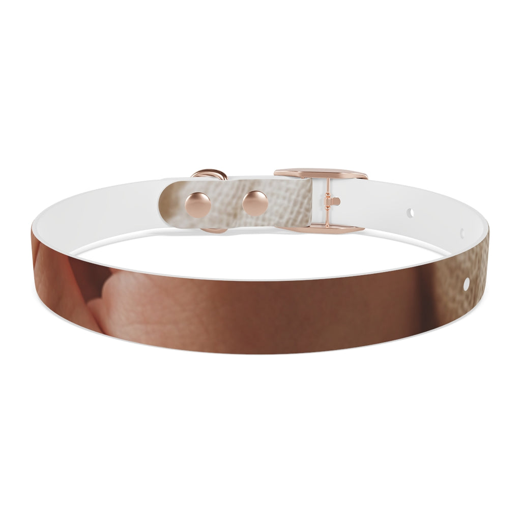 Dog Collar - Earth Toned Pet Style