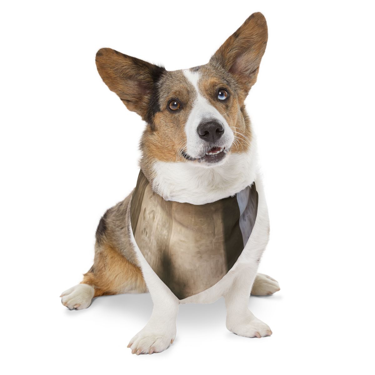 Pet Bandana Collar - Shadows of the Citadel moody... |...