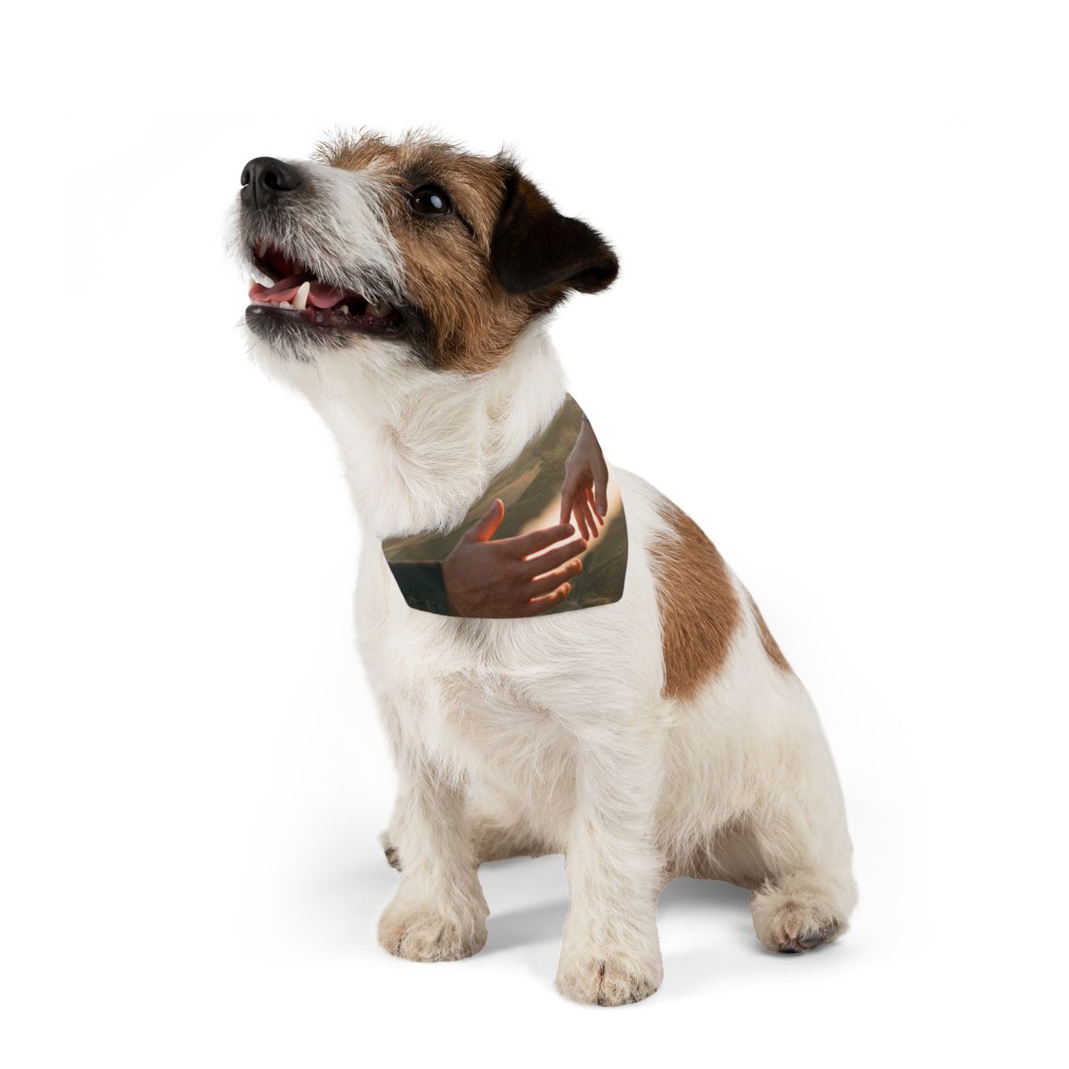 Pet Bandana Collar - The Infinite Touch | Ethereal Coastal...