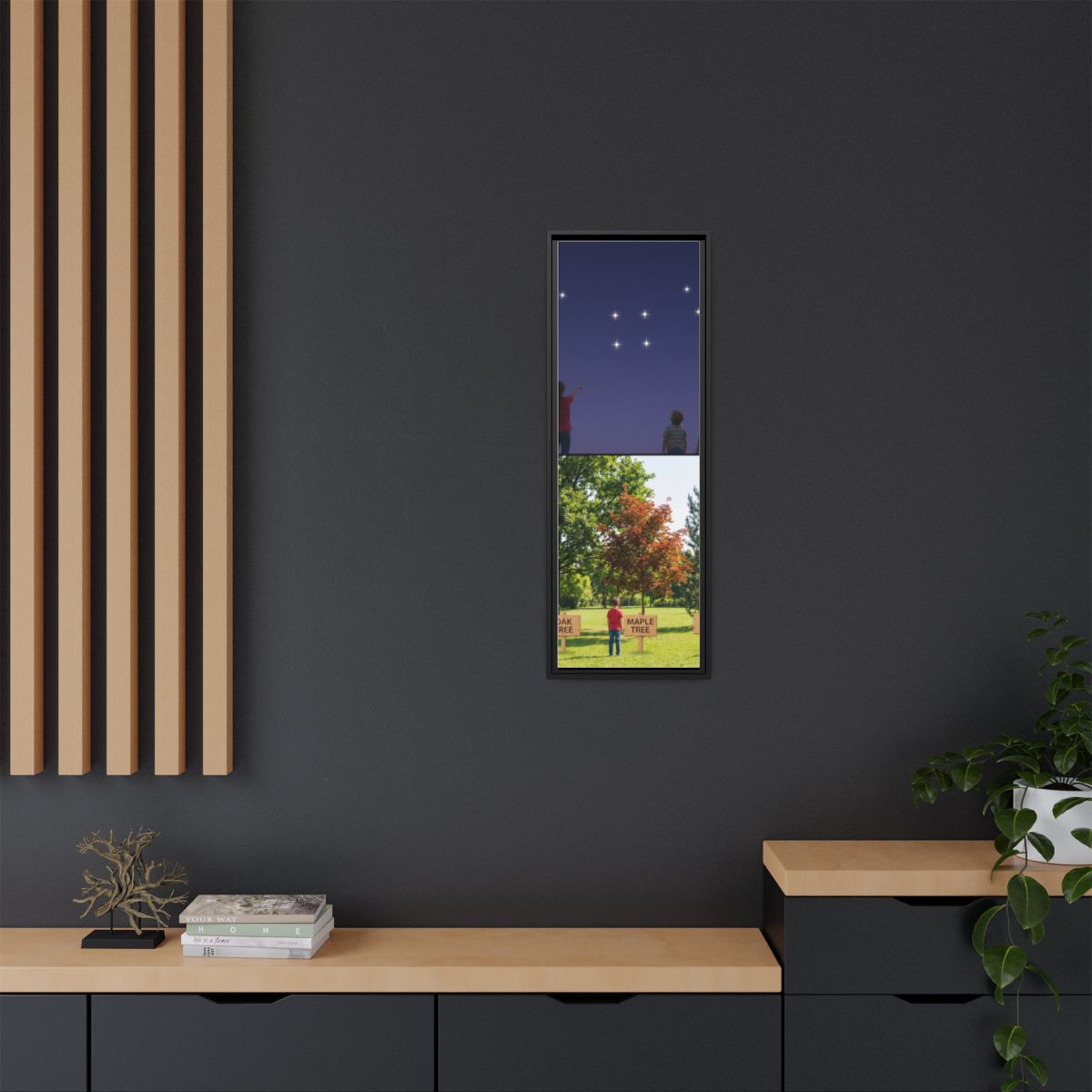 Framed Matte Canvas - Discovery — Black / 1.25"