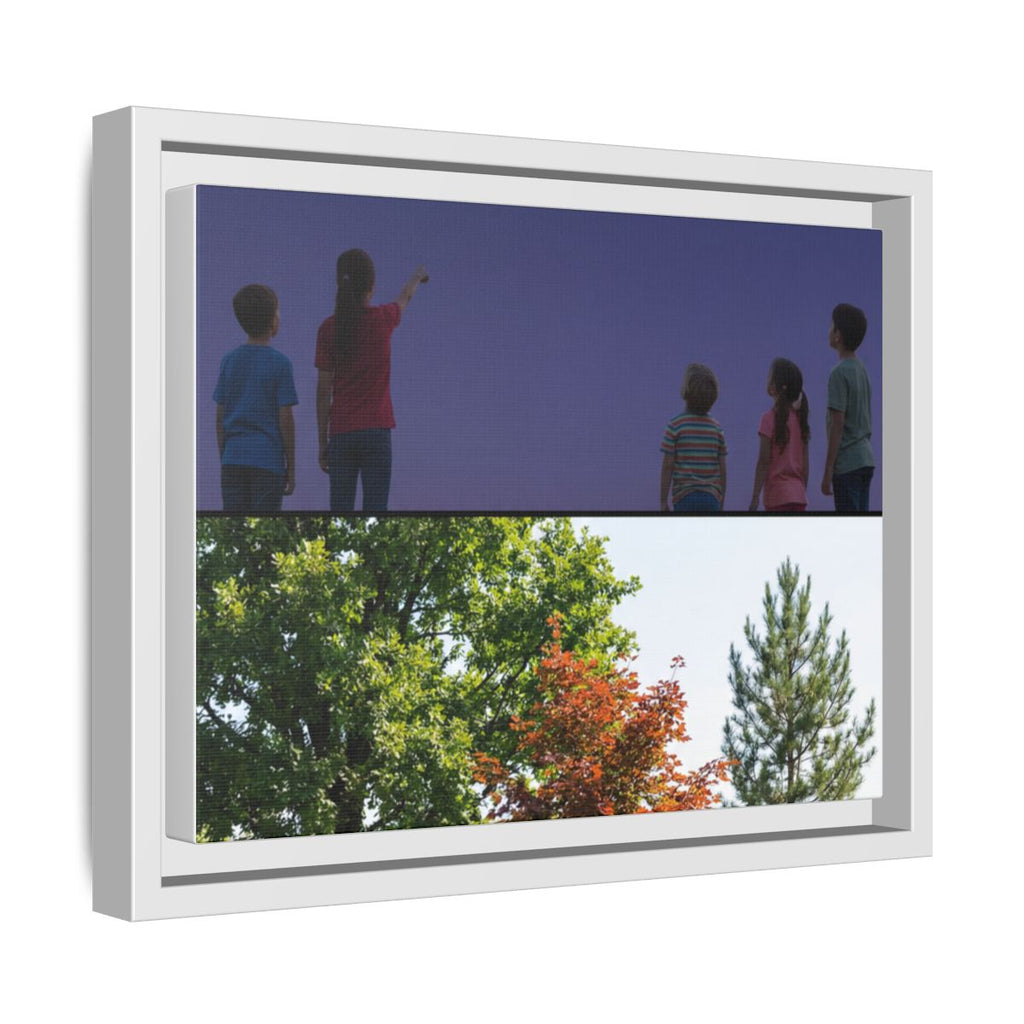 Framed Matte Canvas - Discovery — White / 1.25"