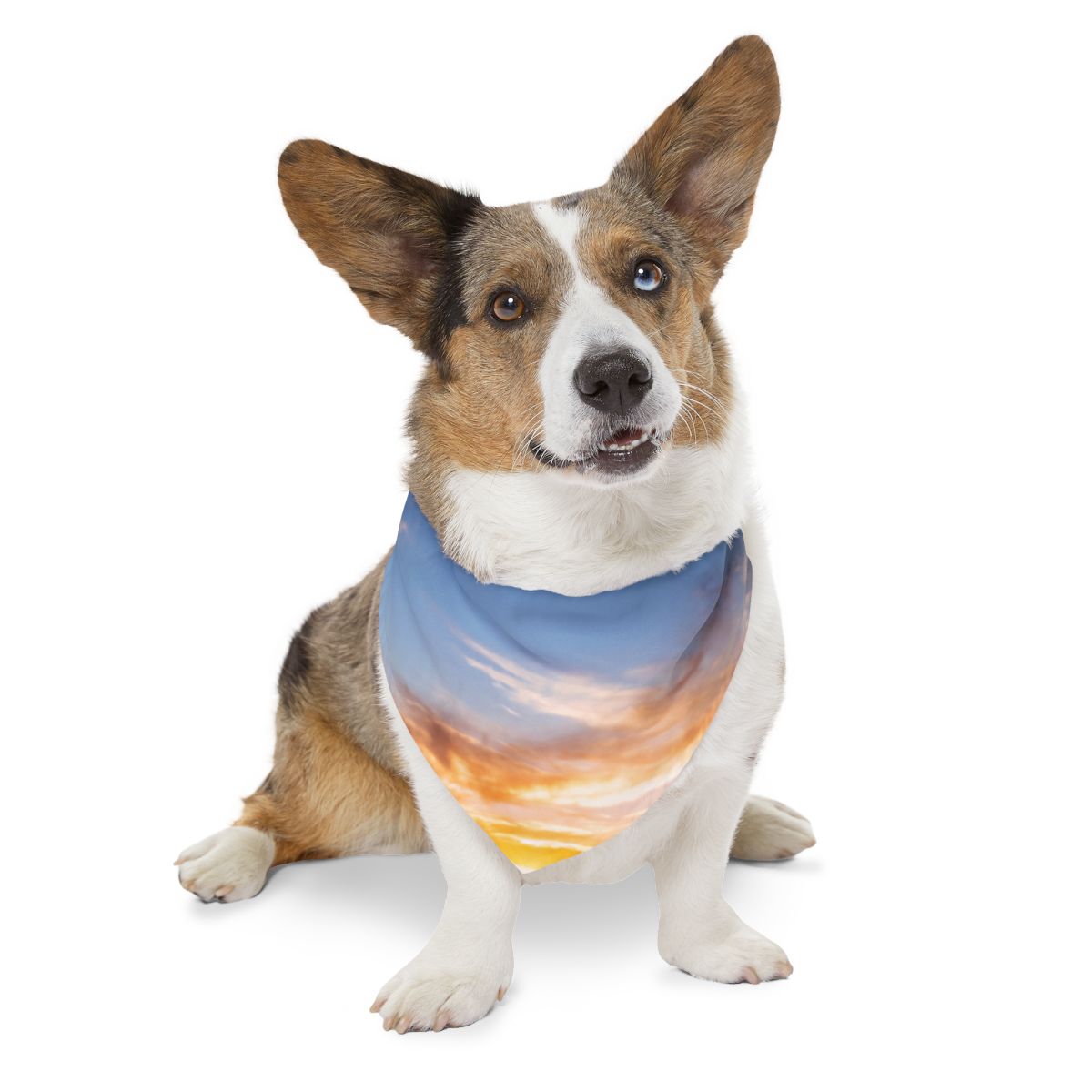 Pet Bandana Collar - Epic Dawn Trek