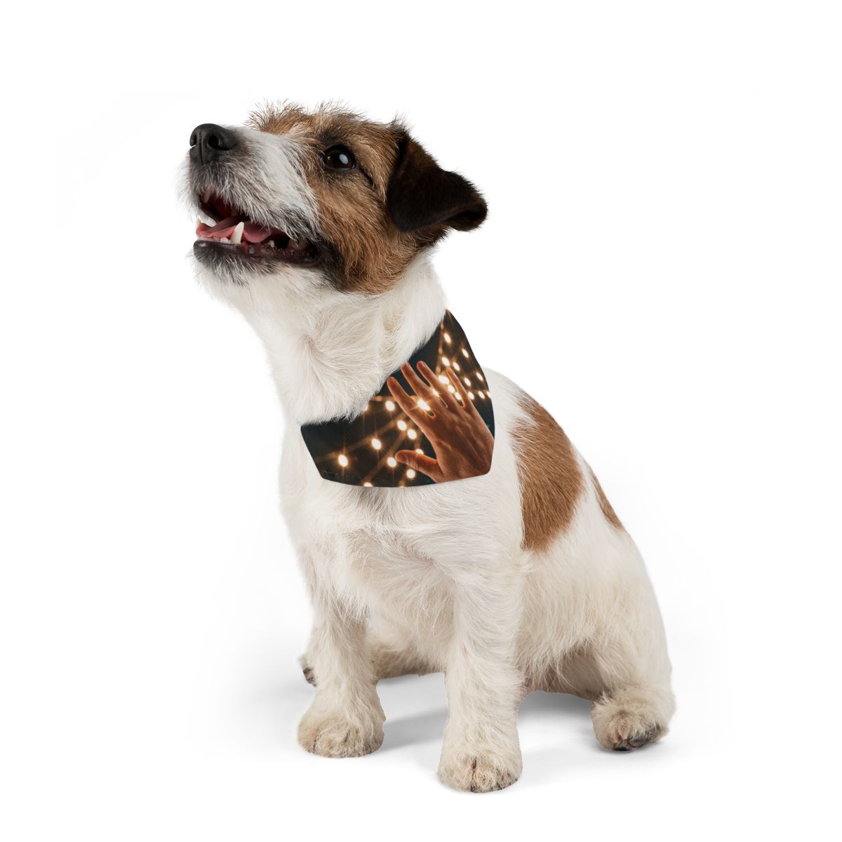 Pet Bandana Collar - Golden Festival Lights Hand Celebration...