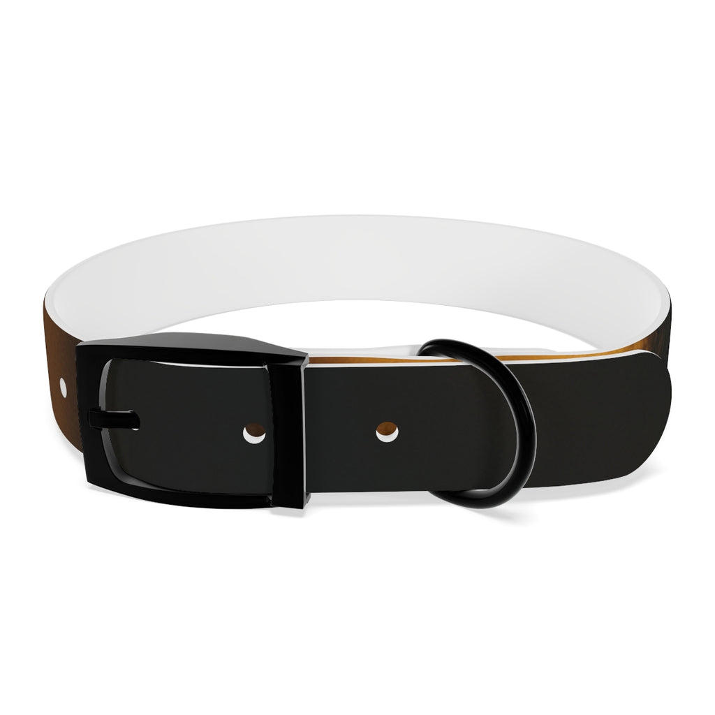 Dog Collar - Night Luxe Radiance
