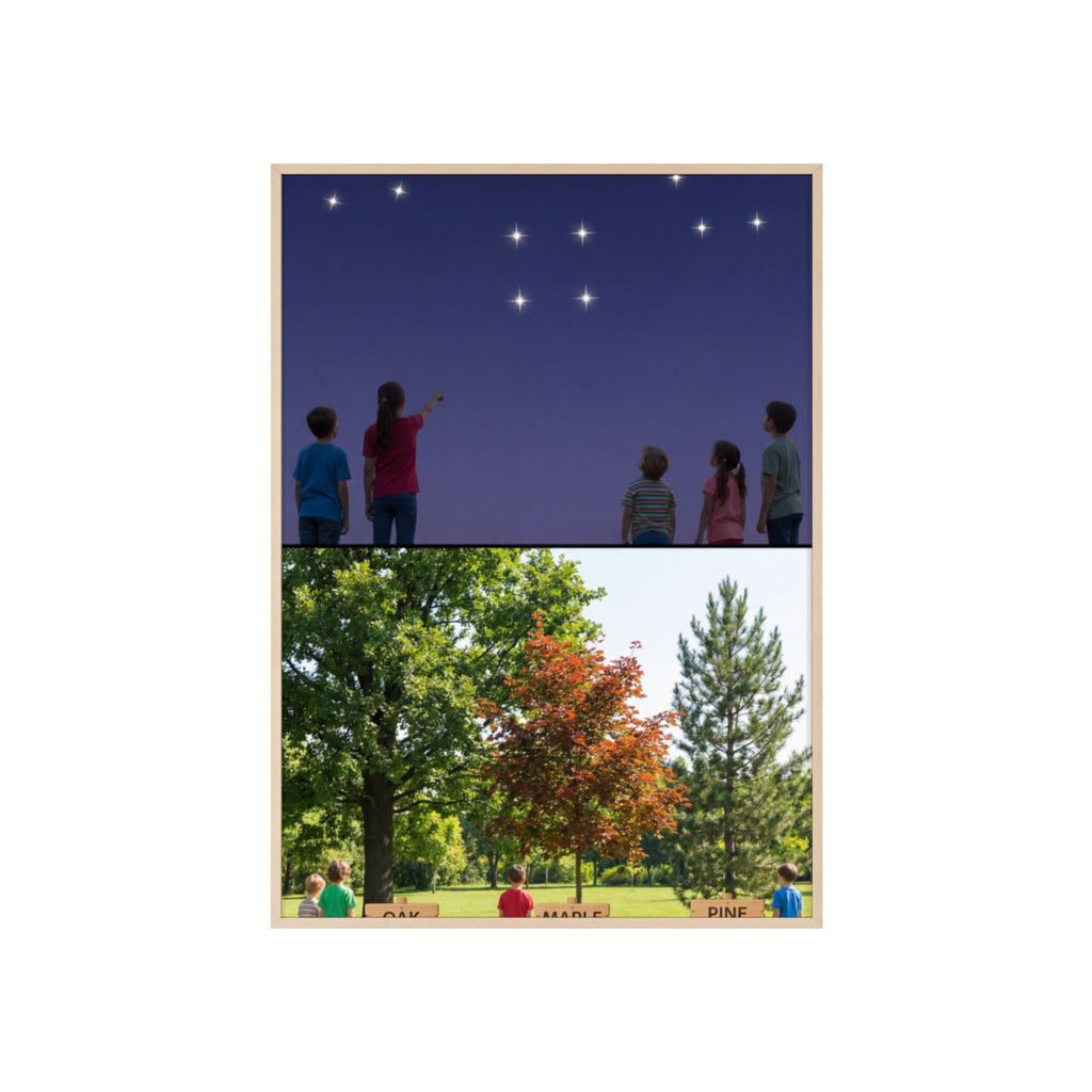 Wooden Framed Poster - Wonder — Portrait