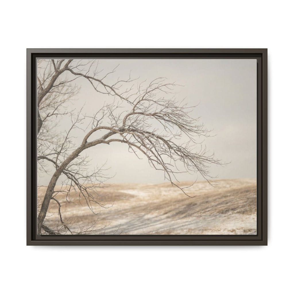 Framed Canvas Art - Minimalist Winter — Espresso / 1.25"