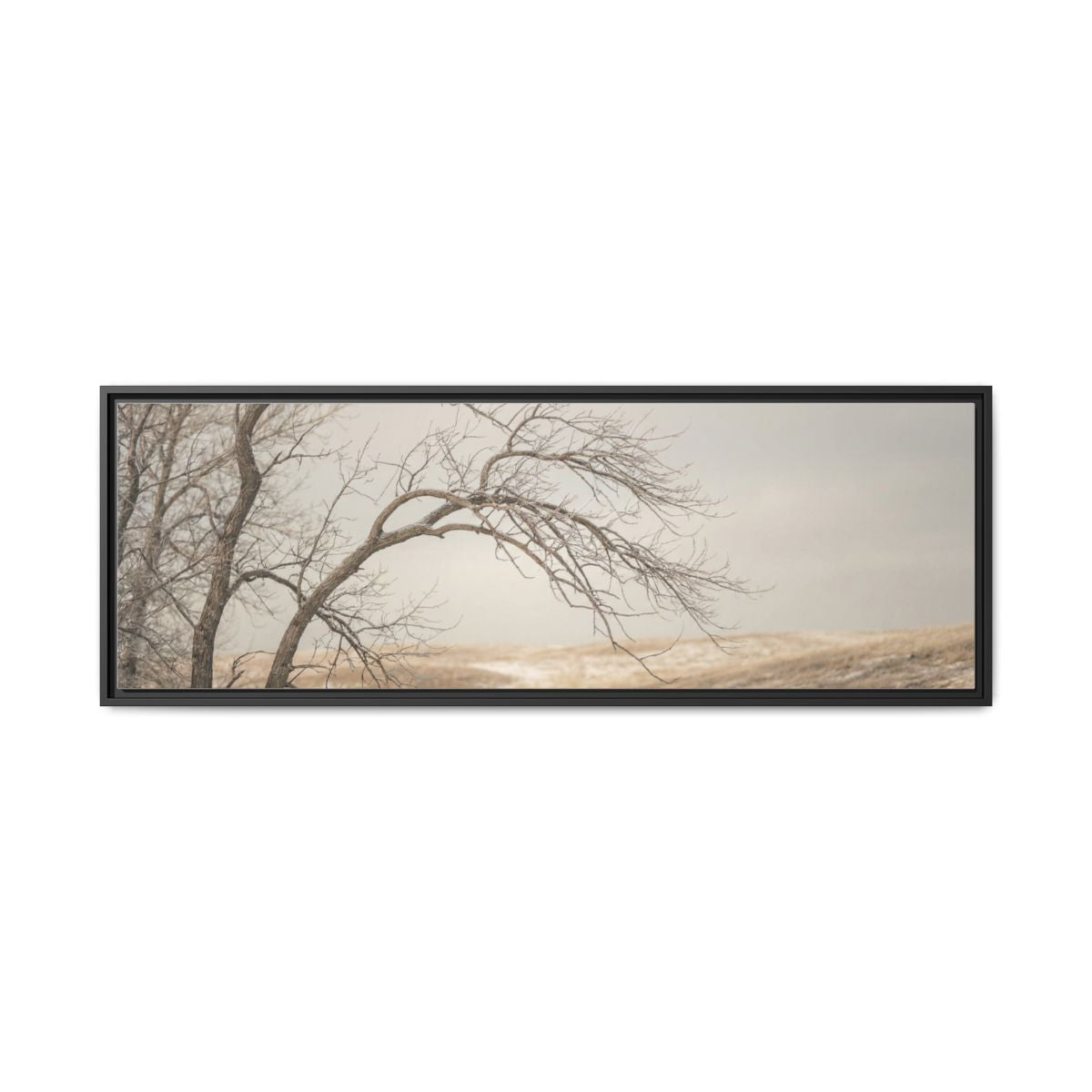 Framed Canvas Art - Minimalist Winter — Black / 1.25"