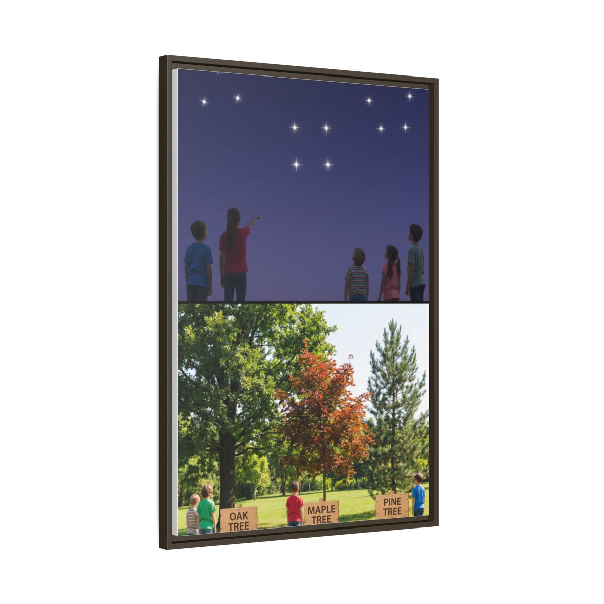 Framed Matte Canvas - Discovery — Espresso / 1.25"