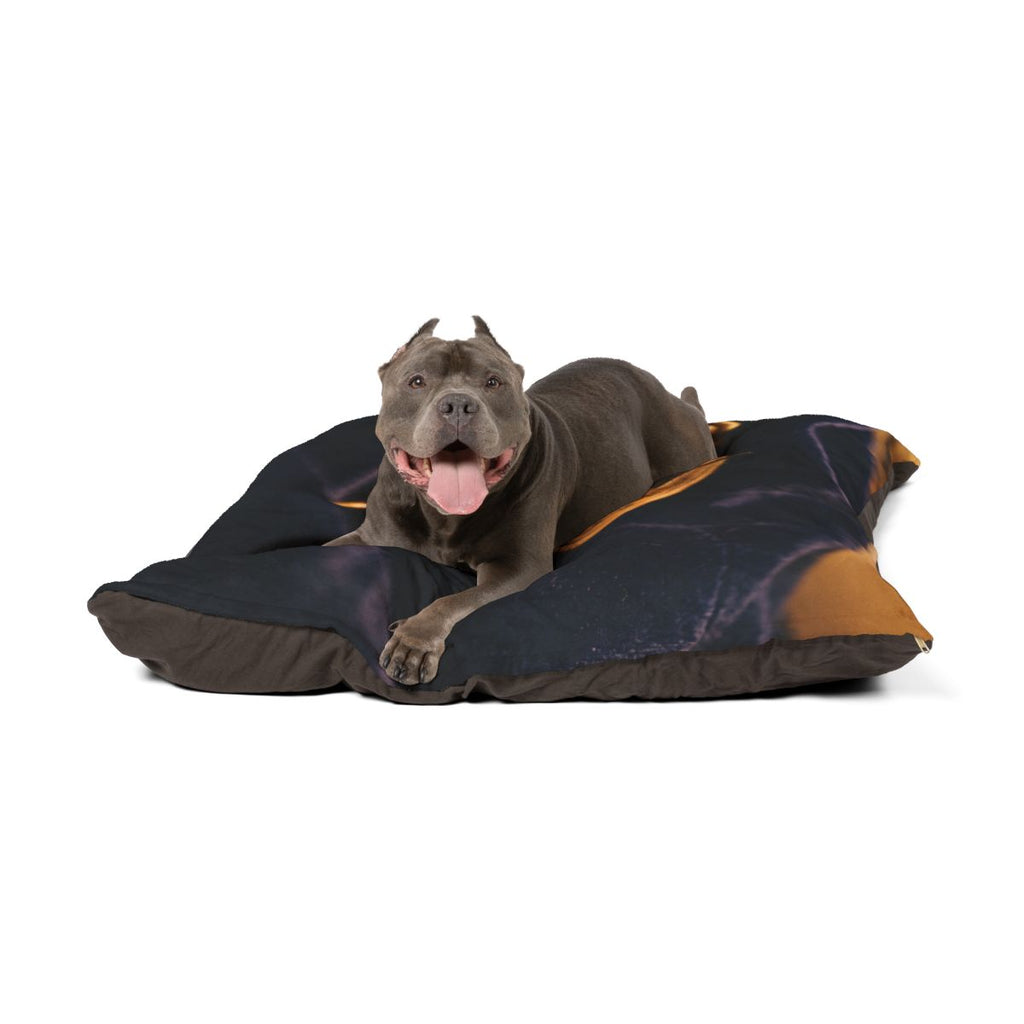 Sundial Compass Pet Bed
