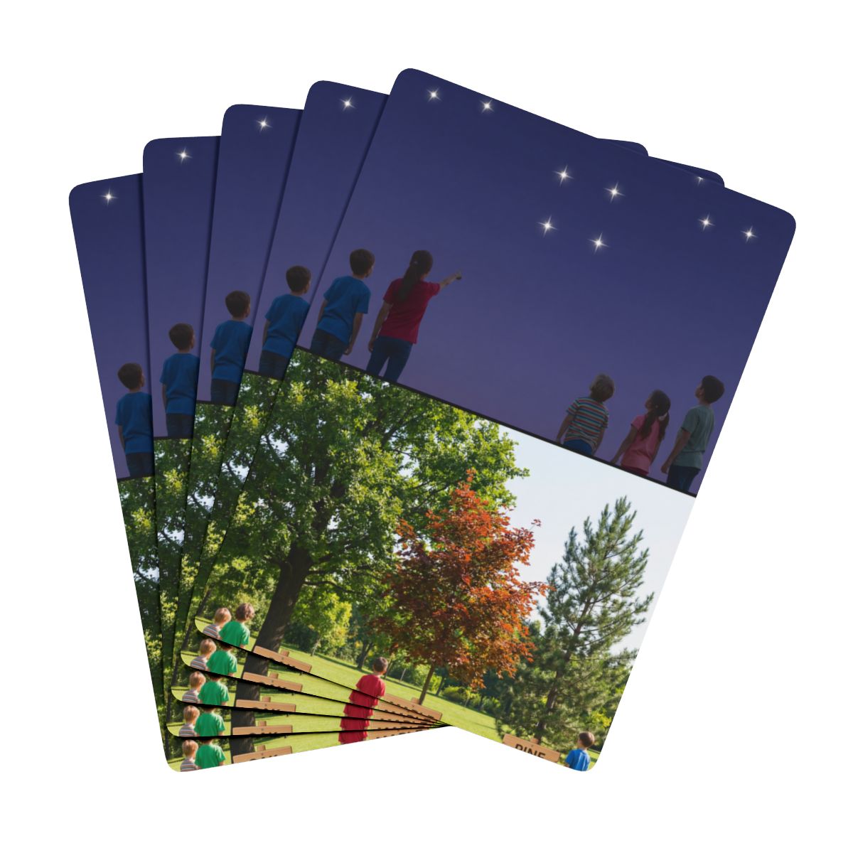 Poker Playing Cards - Constellation Woods