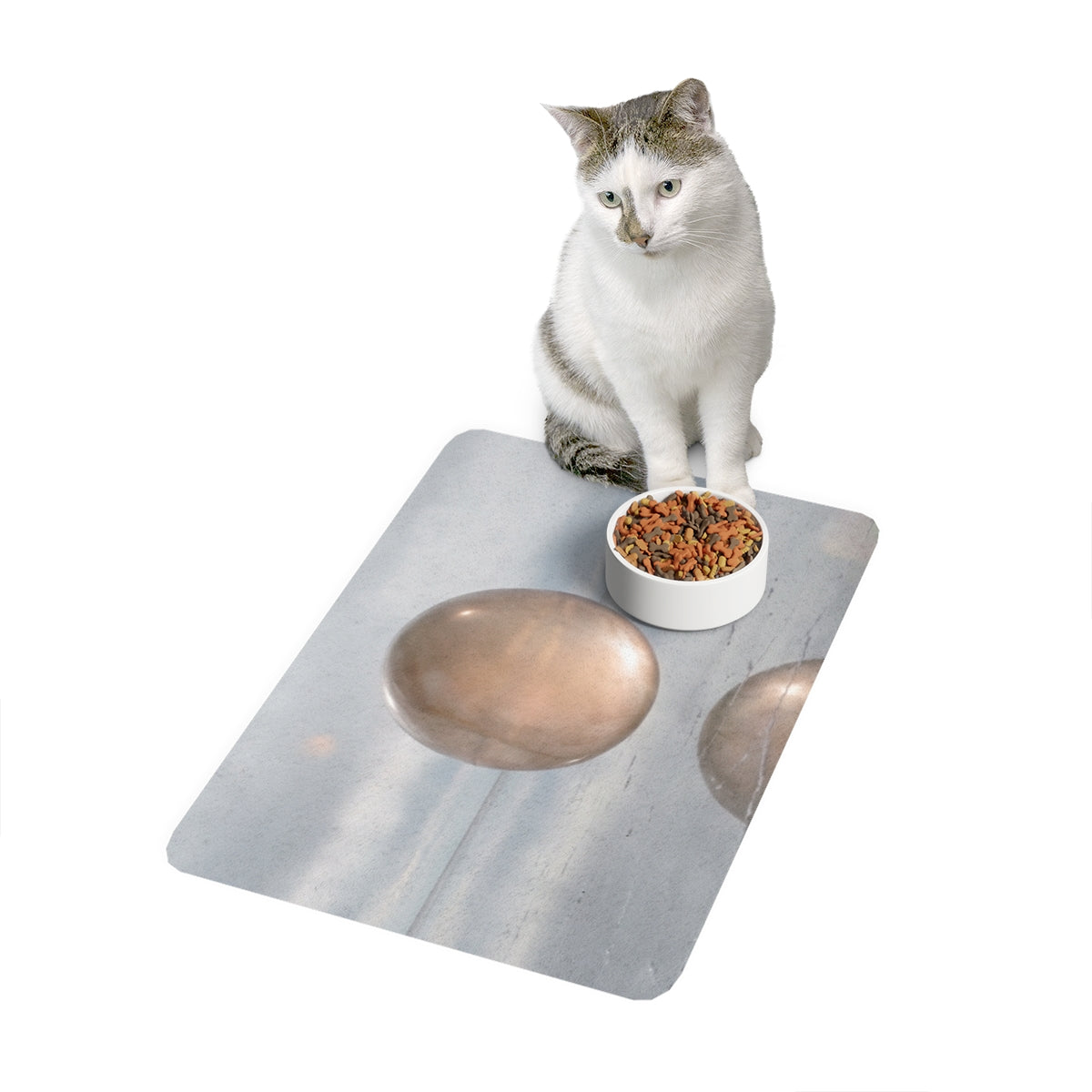 Pet Food Mat 12x18 - Levitating Sphere | Echovira Gallery
