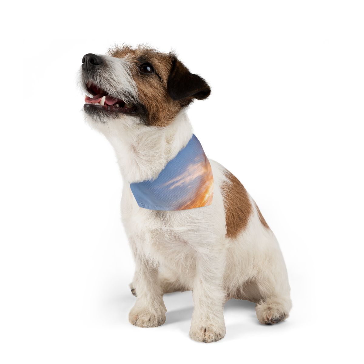 Pet Bandana Collar - Epic Dawn Trek