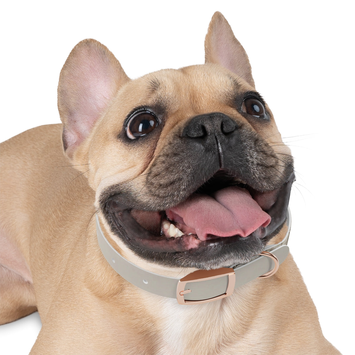 Dog Collar - Hushed Winter Landscape