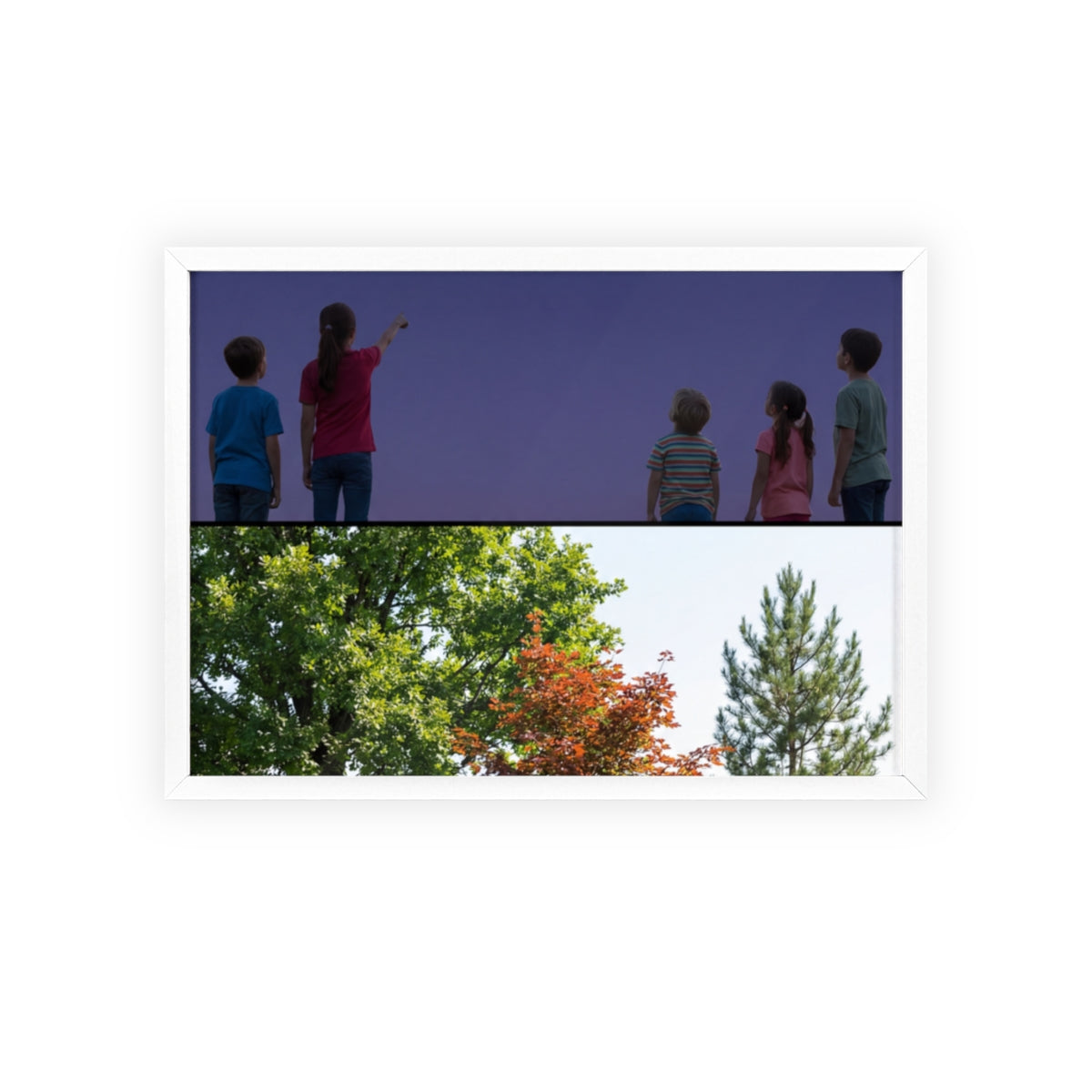 Posters with Wooden Frame - Woodland Explorer