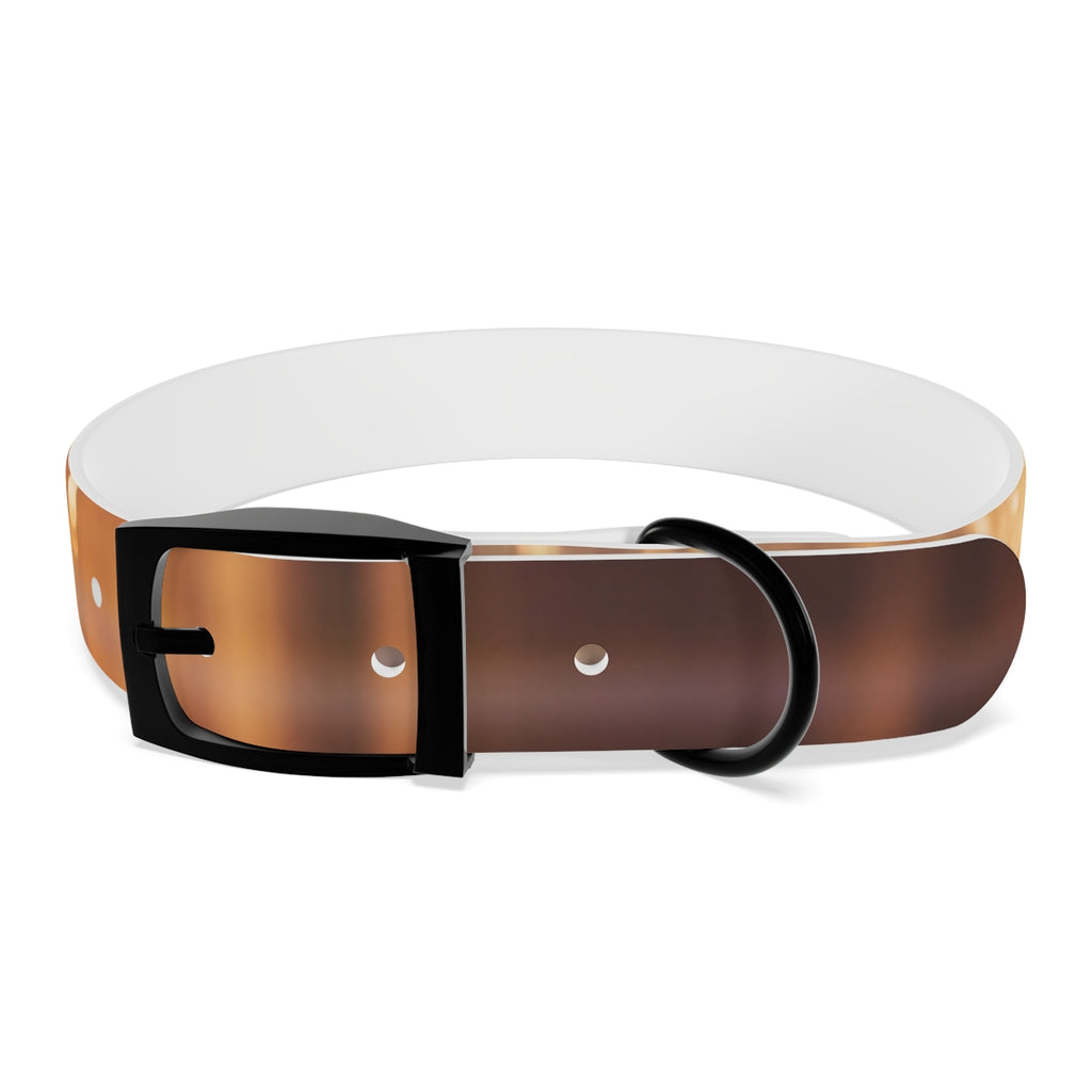 Dog Collar - Shattered Light Aesthetic