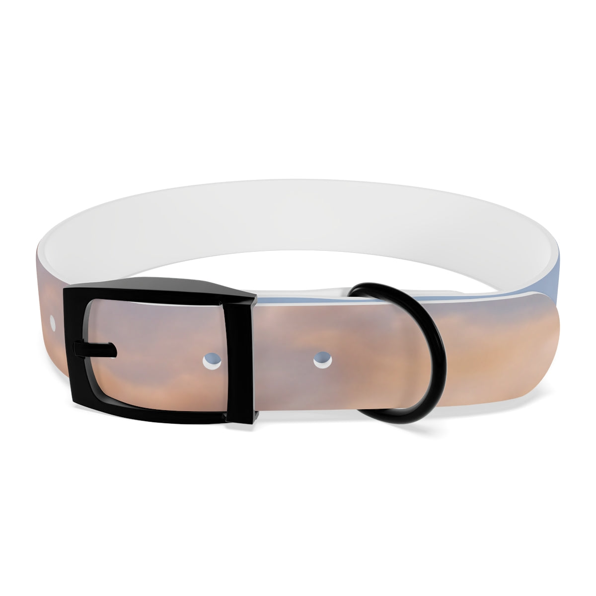 Dog Collar - Trail Companion