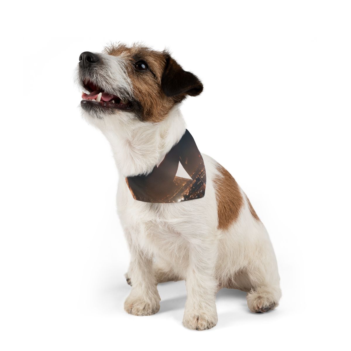 Pet Bandana Collar - City Twilight Lights | Echovira Gallery
