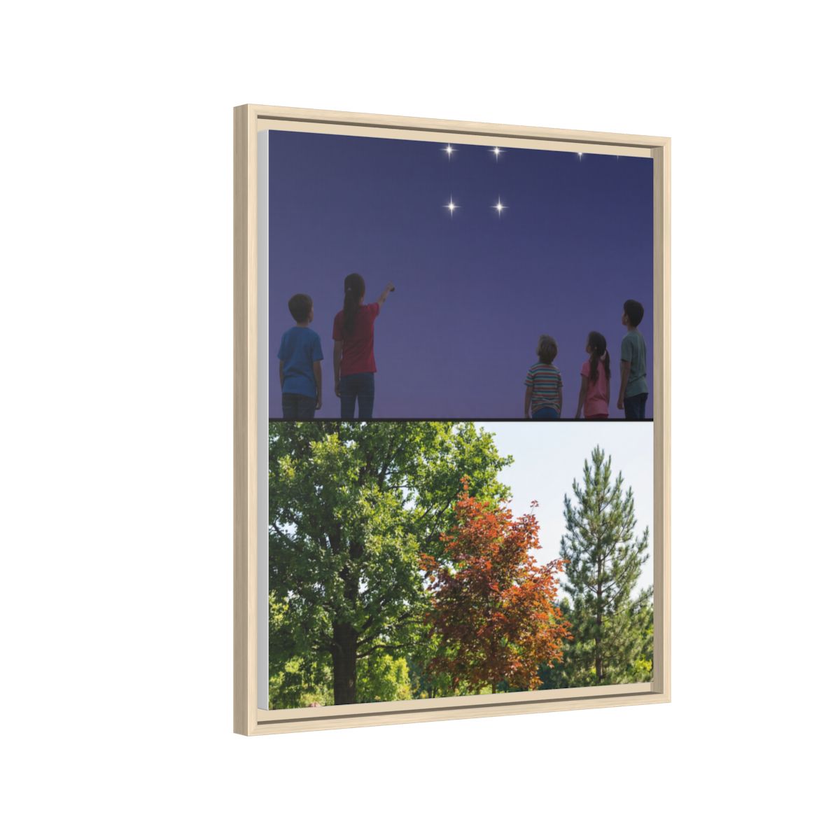 Framed Matte Canvas - Discovery — Natural / 1.25"