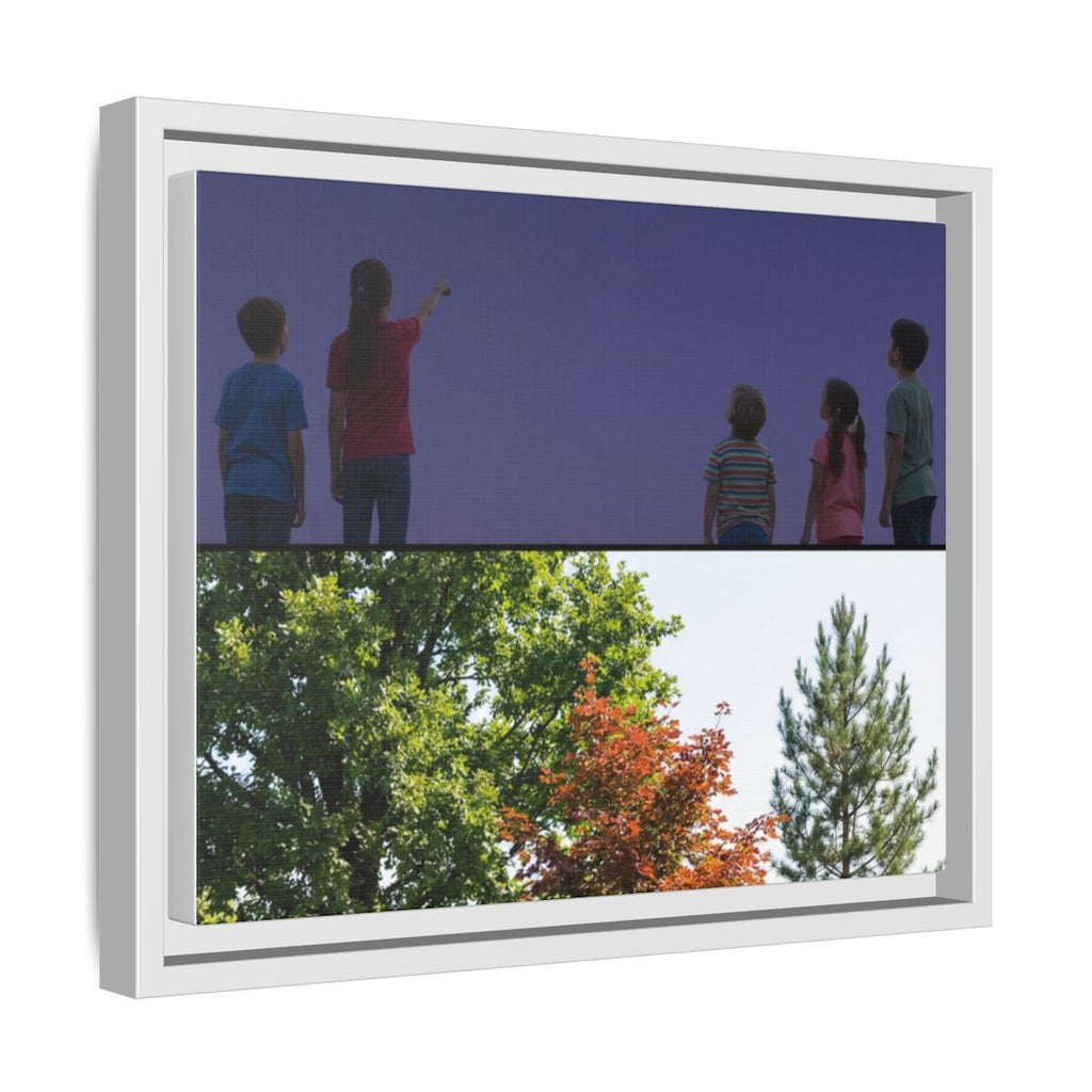 Framed Matte Canvas - Discovery — White / 1.25"