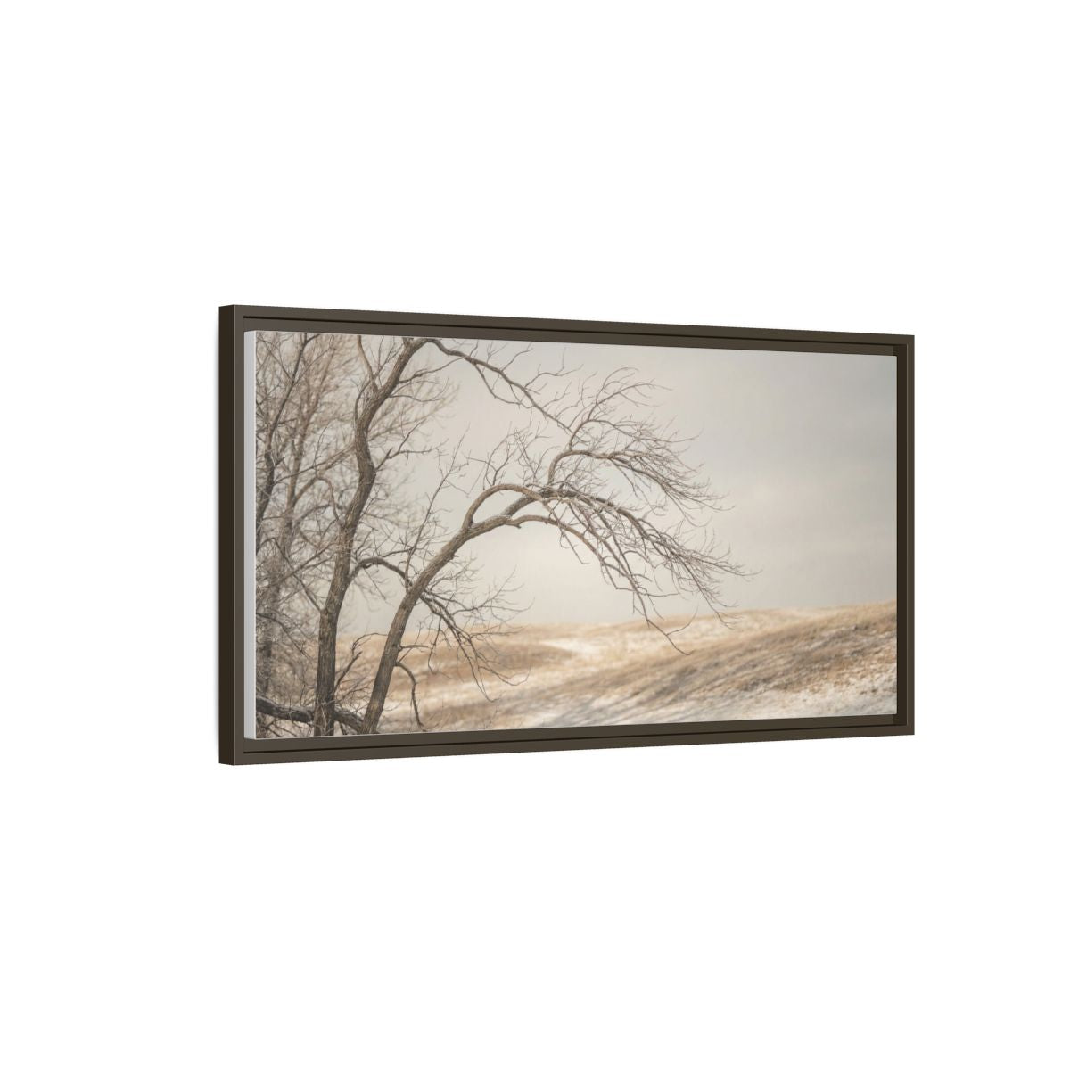 Framed Canvas Art - Minimalist Winter — Espresso / 1.25"
