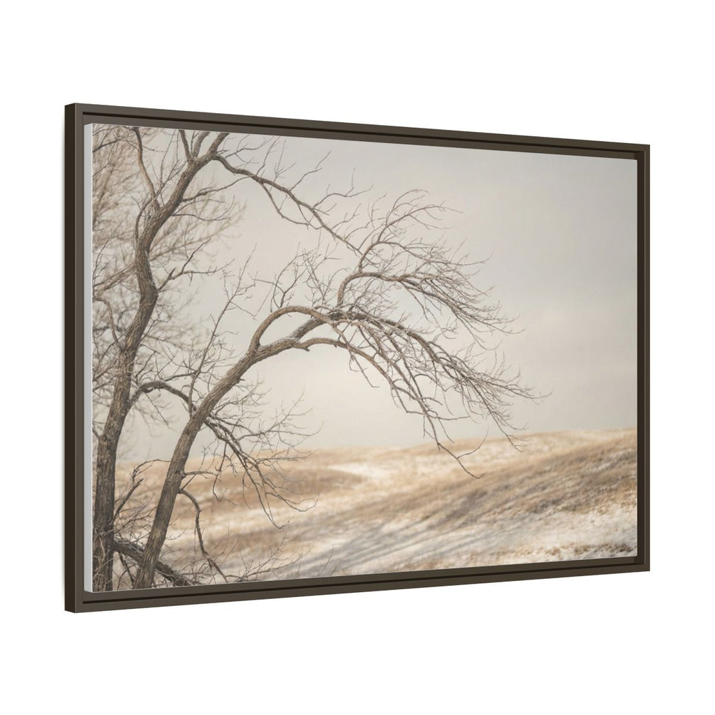 Framed Canvas Art - Minimalist Winter — Espresso / 1.25"