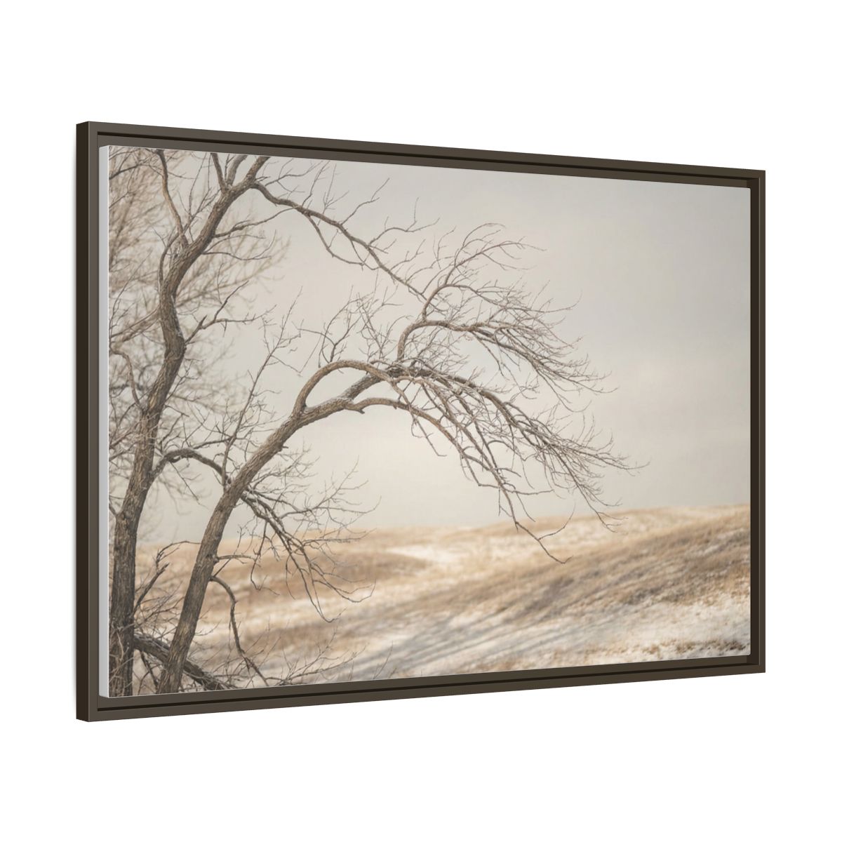 Framed Canvas Art - Minimalist Winter — Espresso / 1.25"