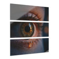 Acrylic Prints Triptych - Reflective Eye Study — Landscape |...