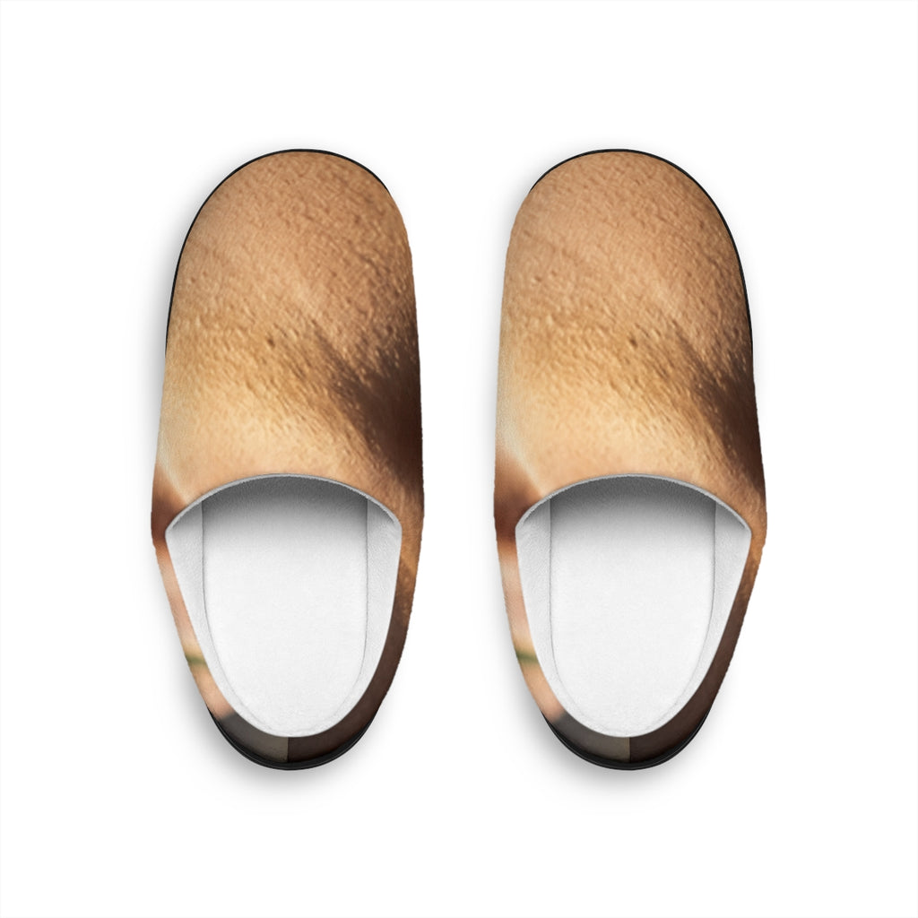 Golden Hour Men's Slippers - Sunkissed Lounge | Echovira...